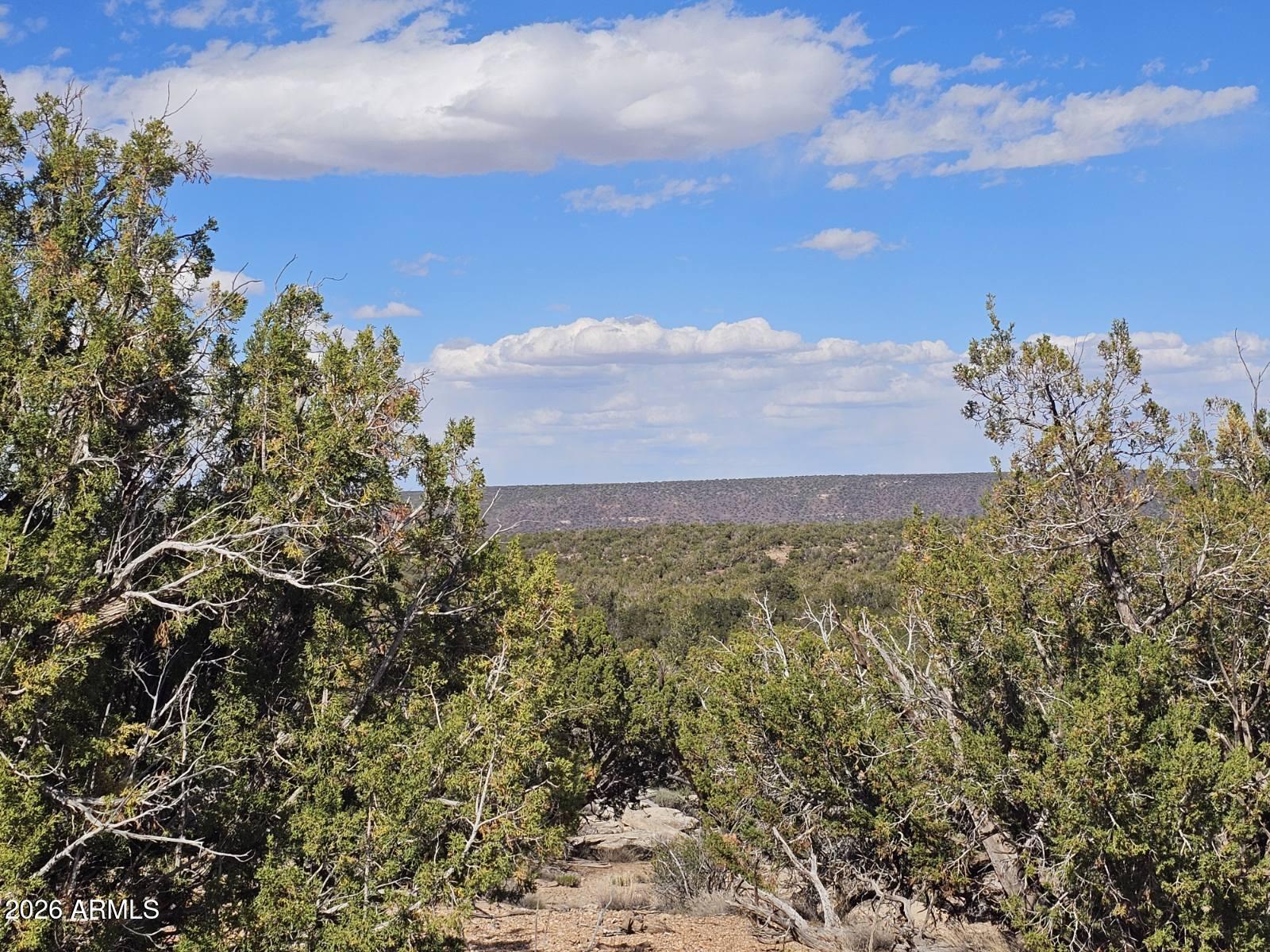 3945 VALLEY Road 749, Snowflake, AZ 85937