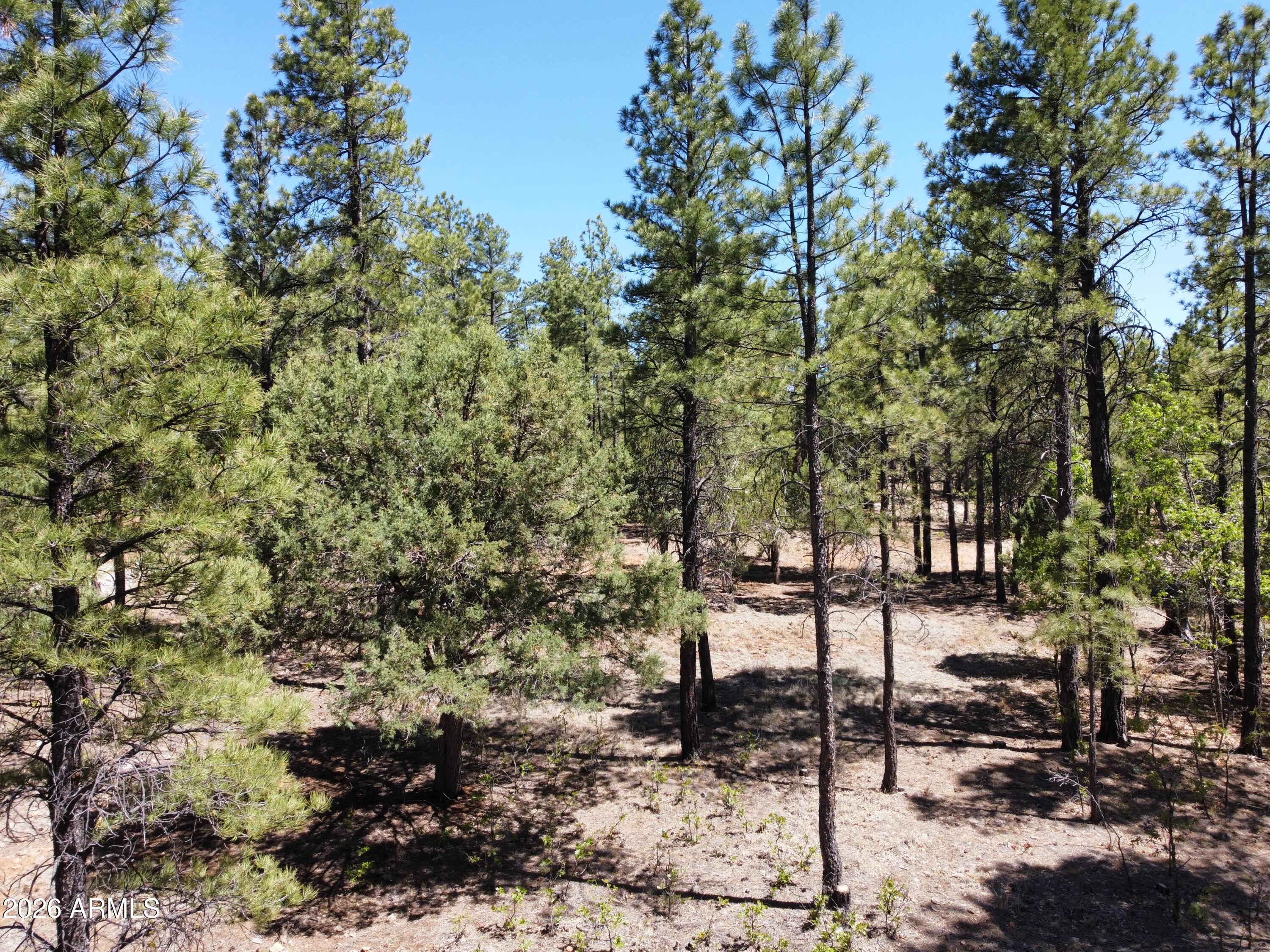 4450 BLACKFOOT Circle 415, Happy Jack, AZ 86024