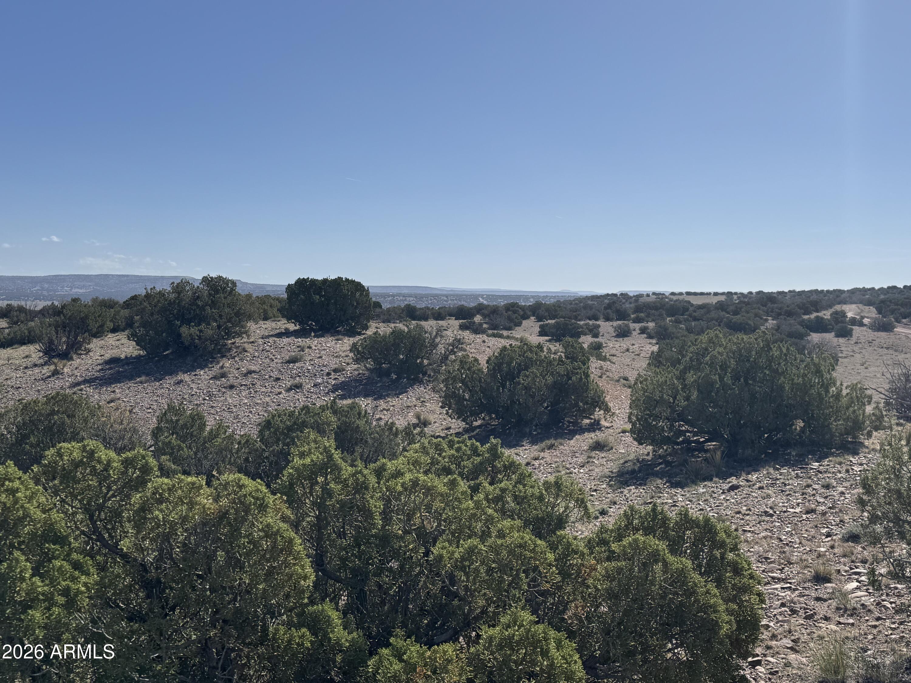 Lot 901 Woodland Valley Ranch 901, St Johns, AZ 85936