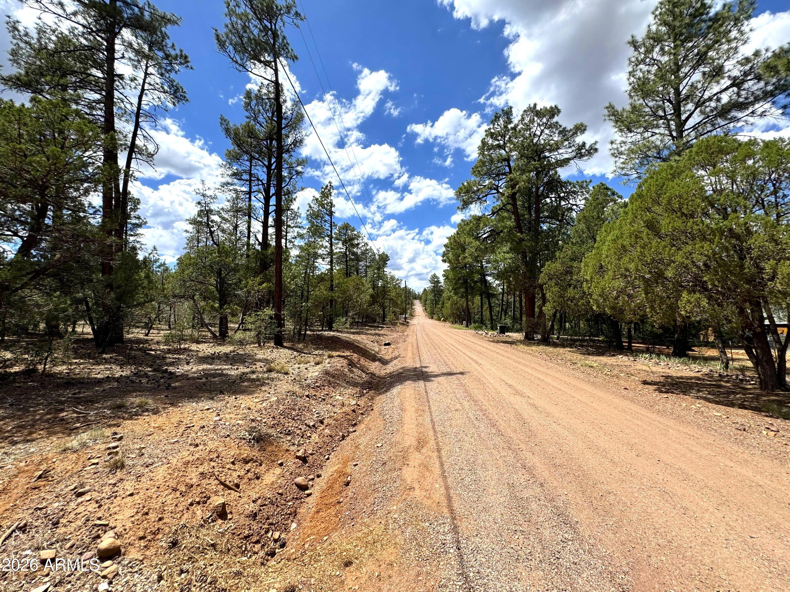 1983 Maryanne Road -, Show Low, AZ 85901