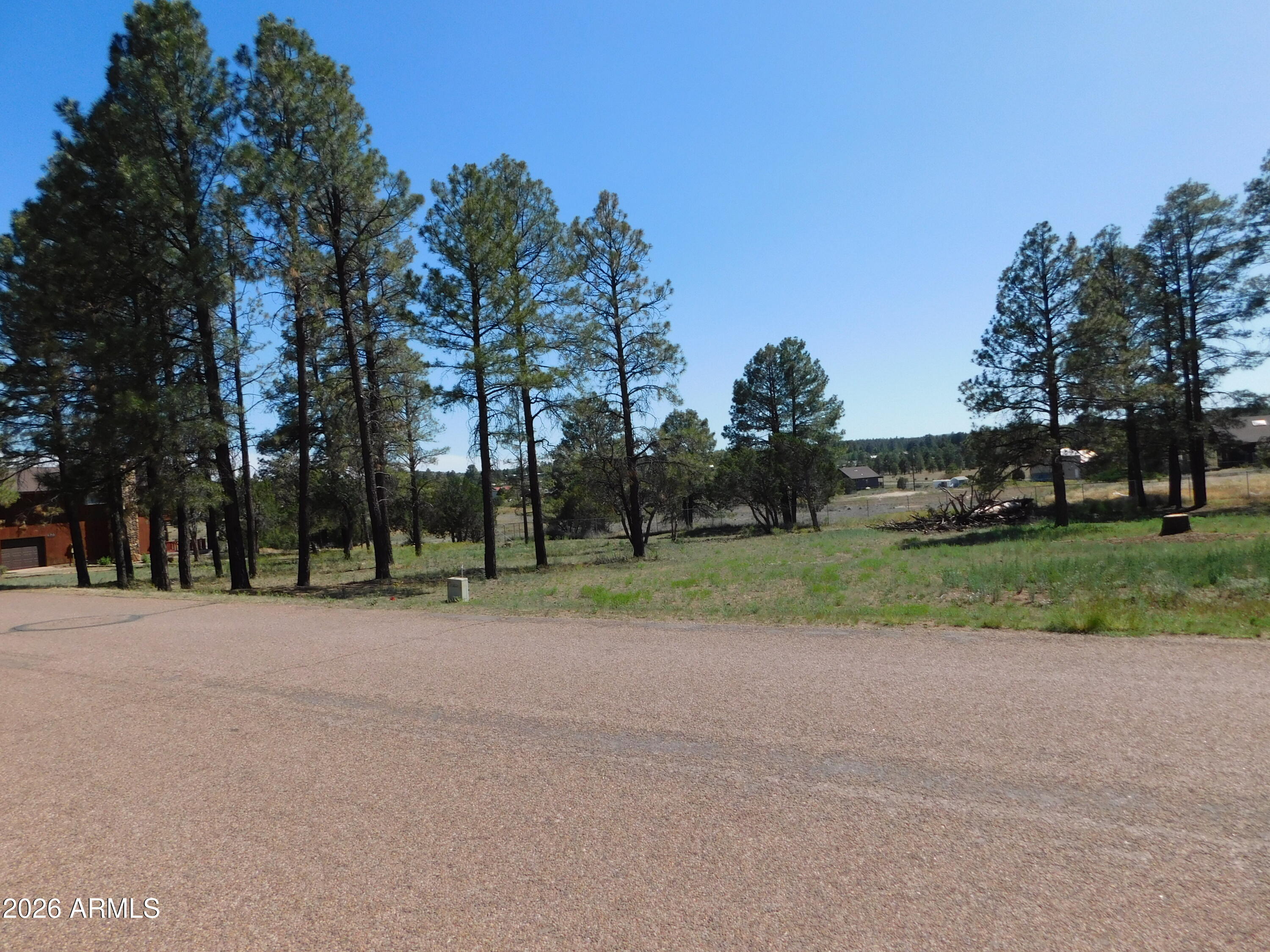 2215 COUNTRY CLUB Drive 12, Overgaard, AZ 85933