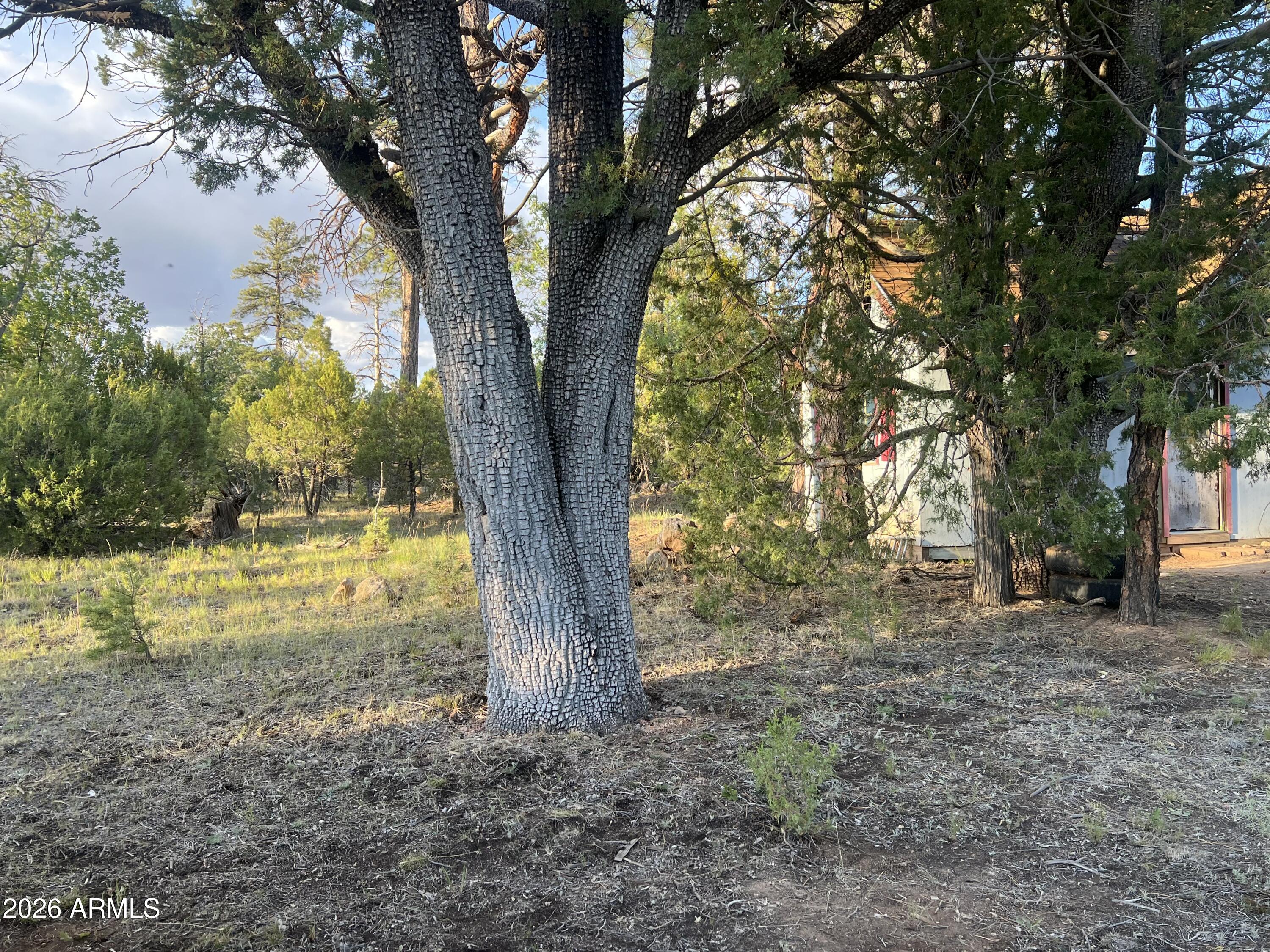 1270 GREEN RIDGE Drive, Happy Jack, AZ 86024