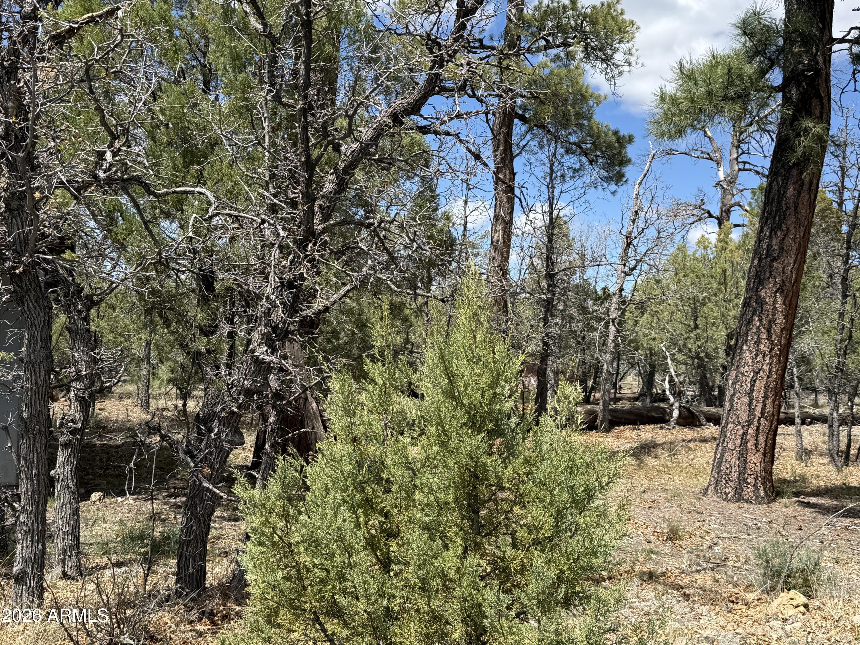 1226 GREEN RIDGE Drive 80, Happy Jack, AZ 86024