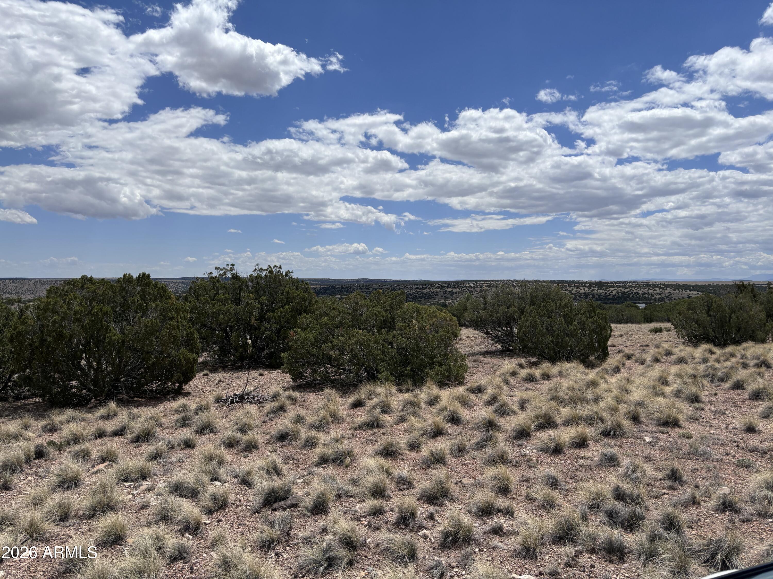 71 Gila Drive 1, Concho, AZ 85924