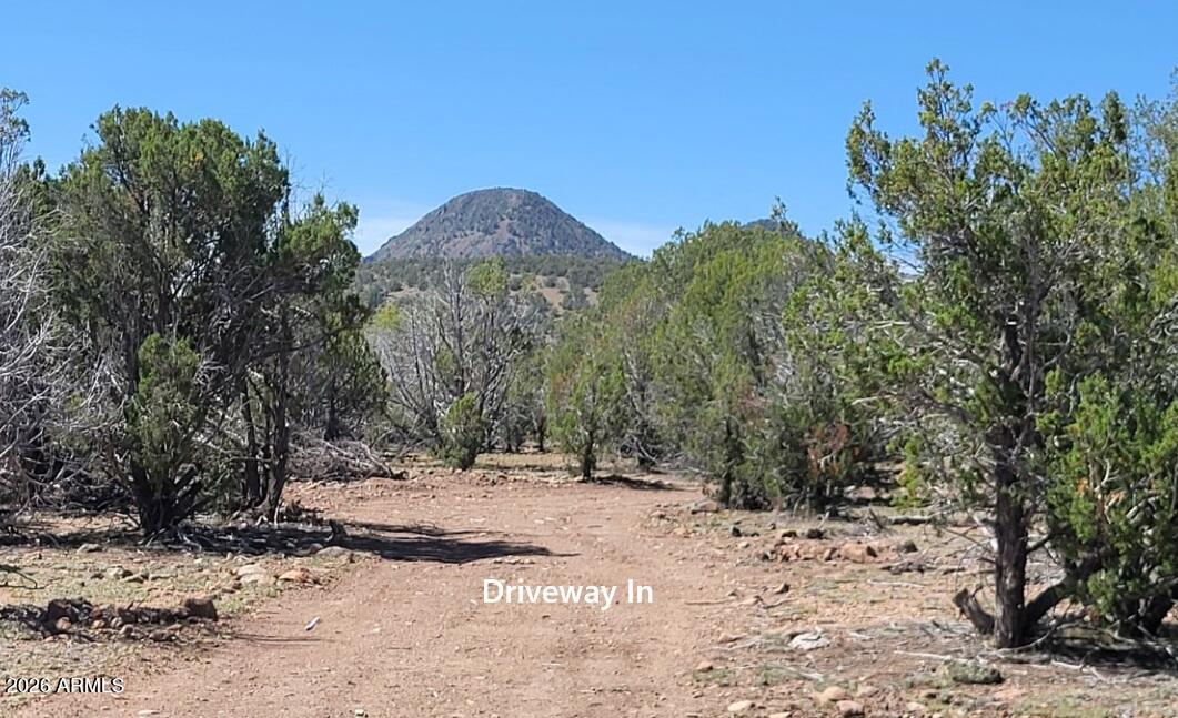 107A N Ranch Road 107A, Williams, AZ 86046