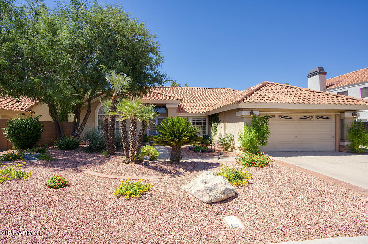 1571 W JASPER Drive, Chandler, AZ 85224