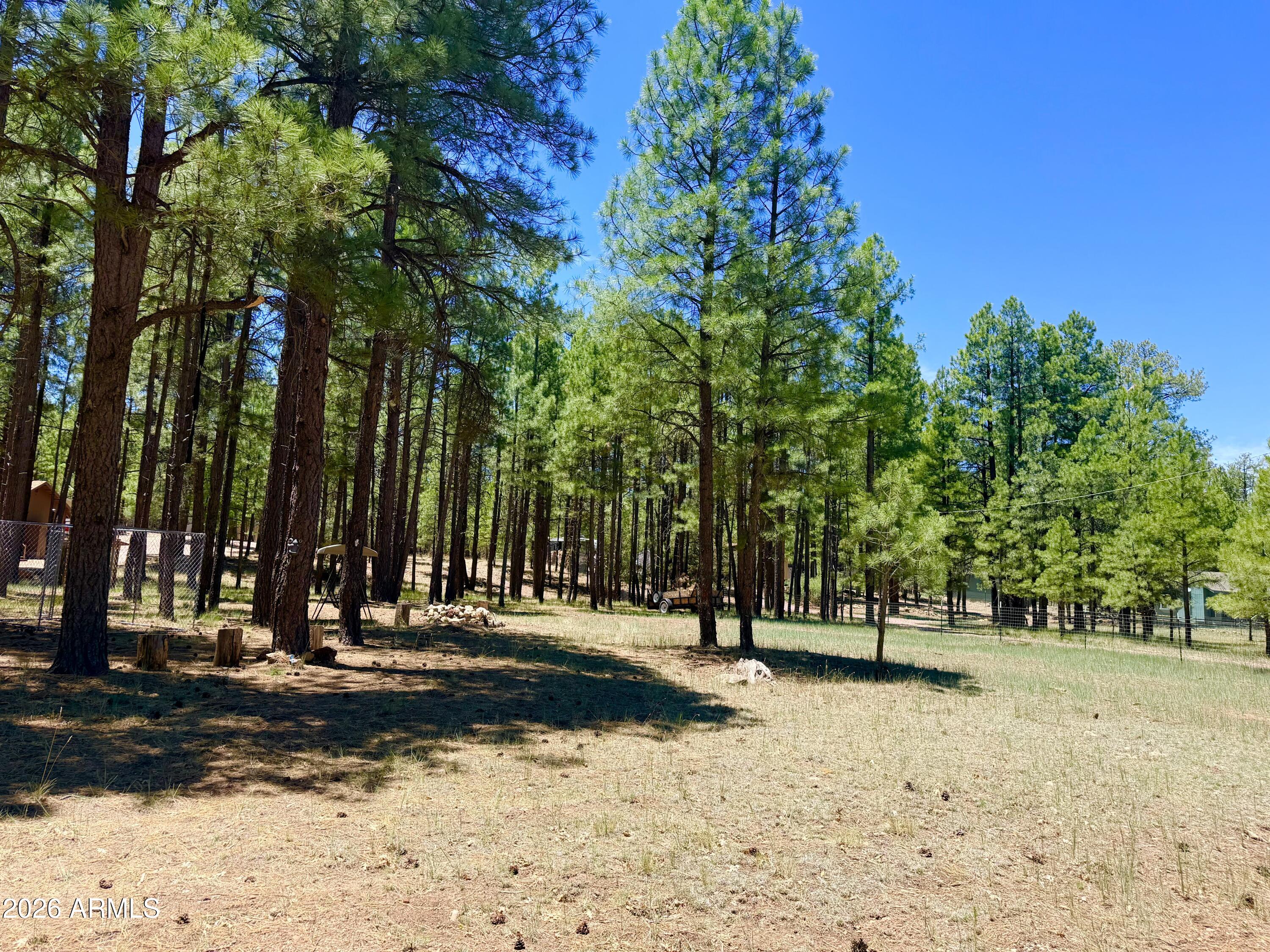2378 BLUE RIDGE Drive 479, Happy Jack, AZ 86024