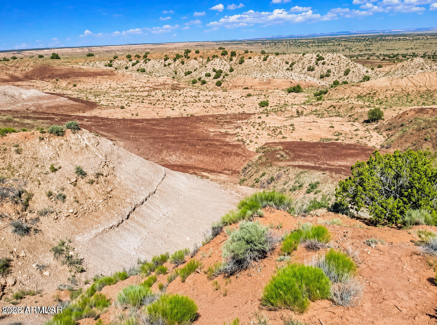 TBD 210-06-005 and 206-51-136 005, Chambers, AZ 86502