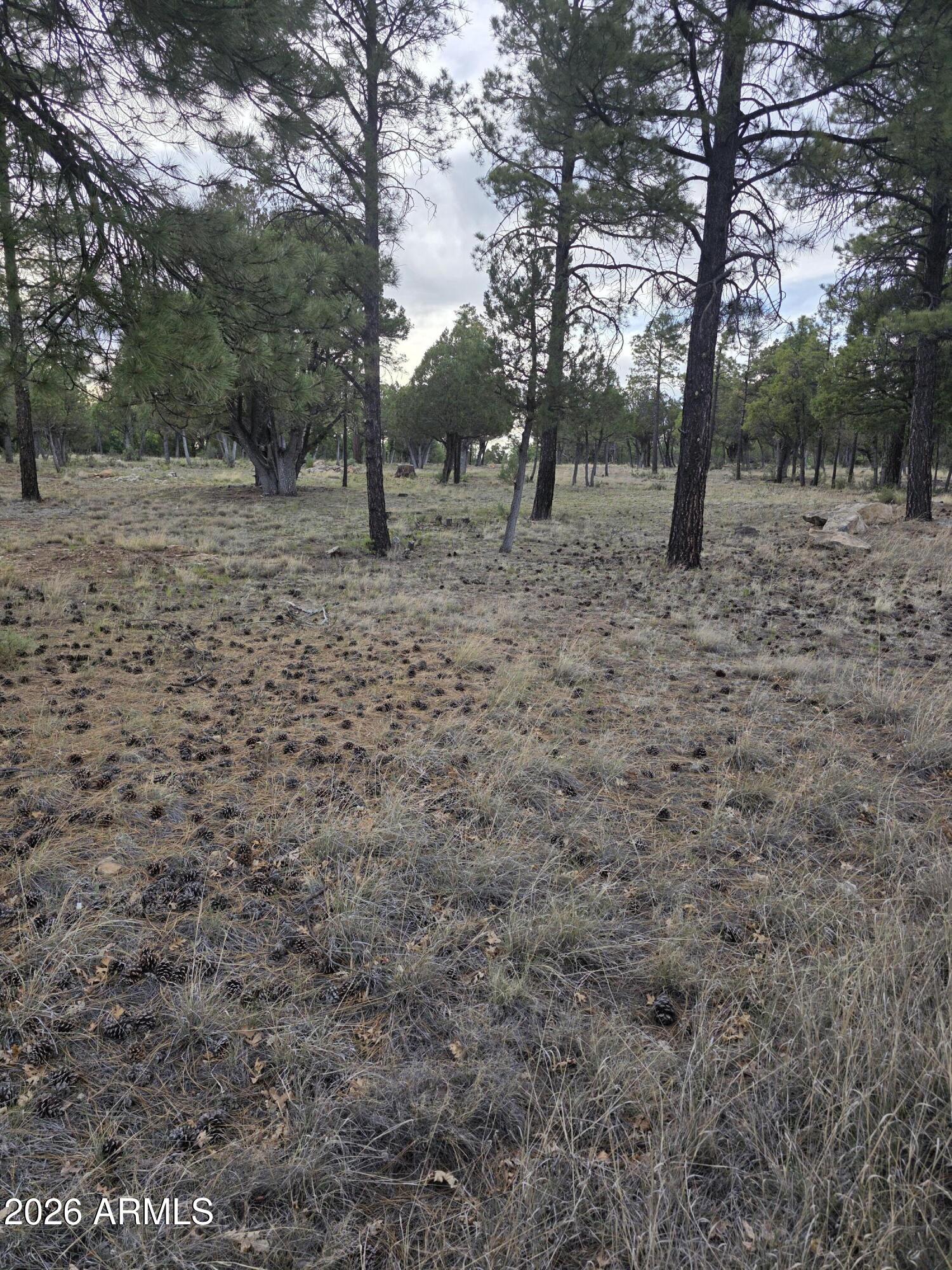 2584 ARAPAHO Drive 600, Happy Jack, AZ 86024
