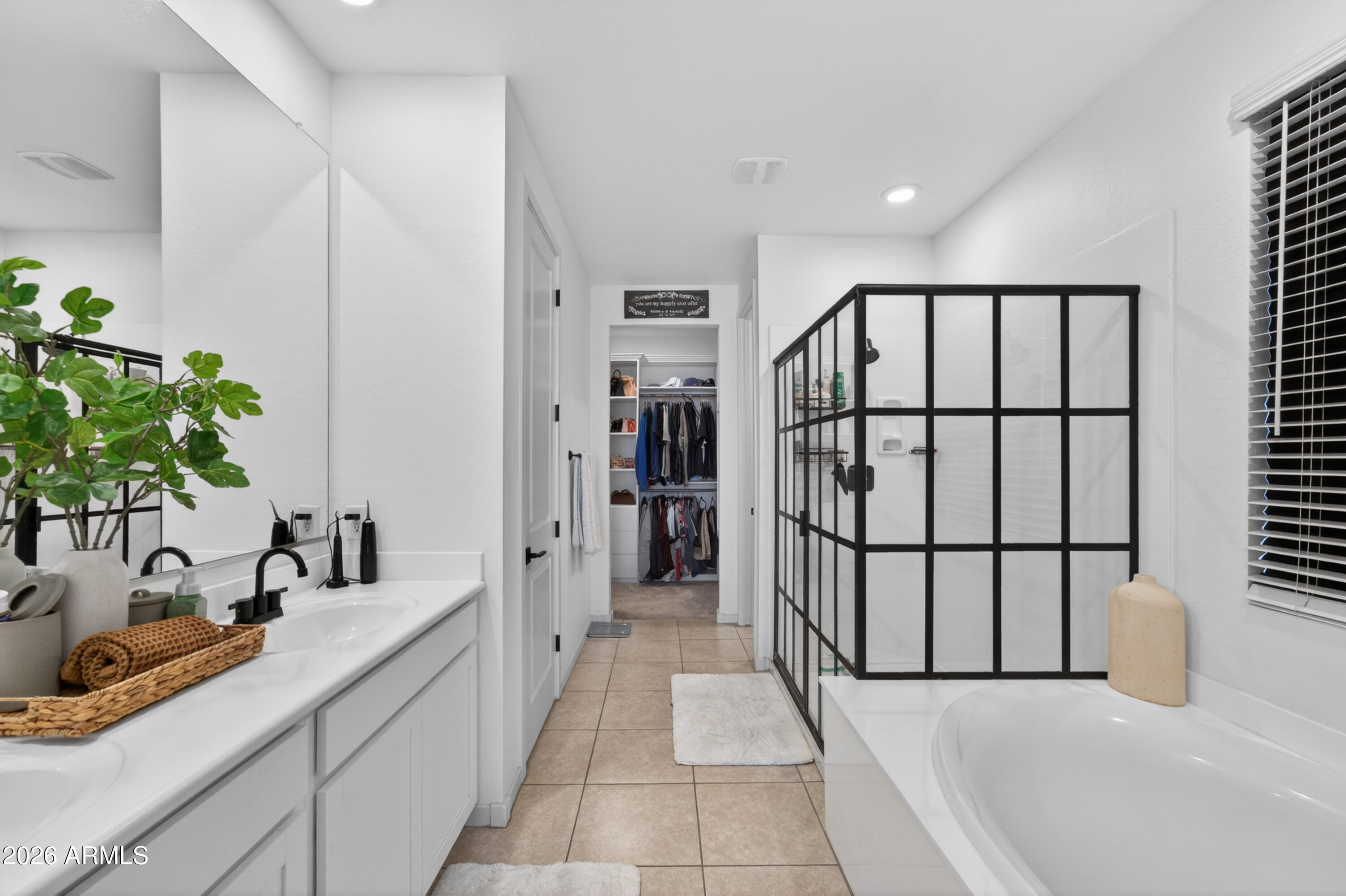 36810 N Camarillo Drive, San Tan Valley, AZ 85140