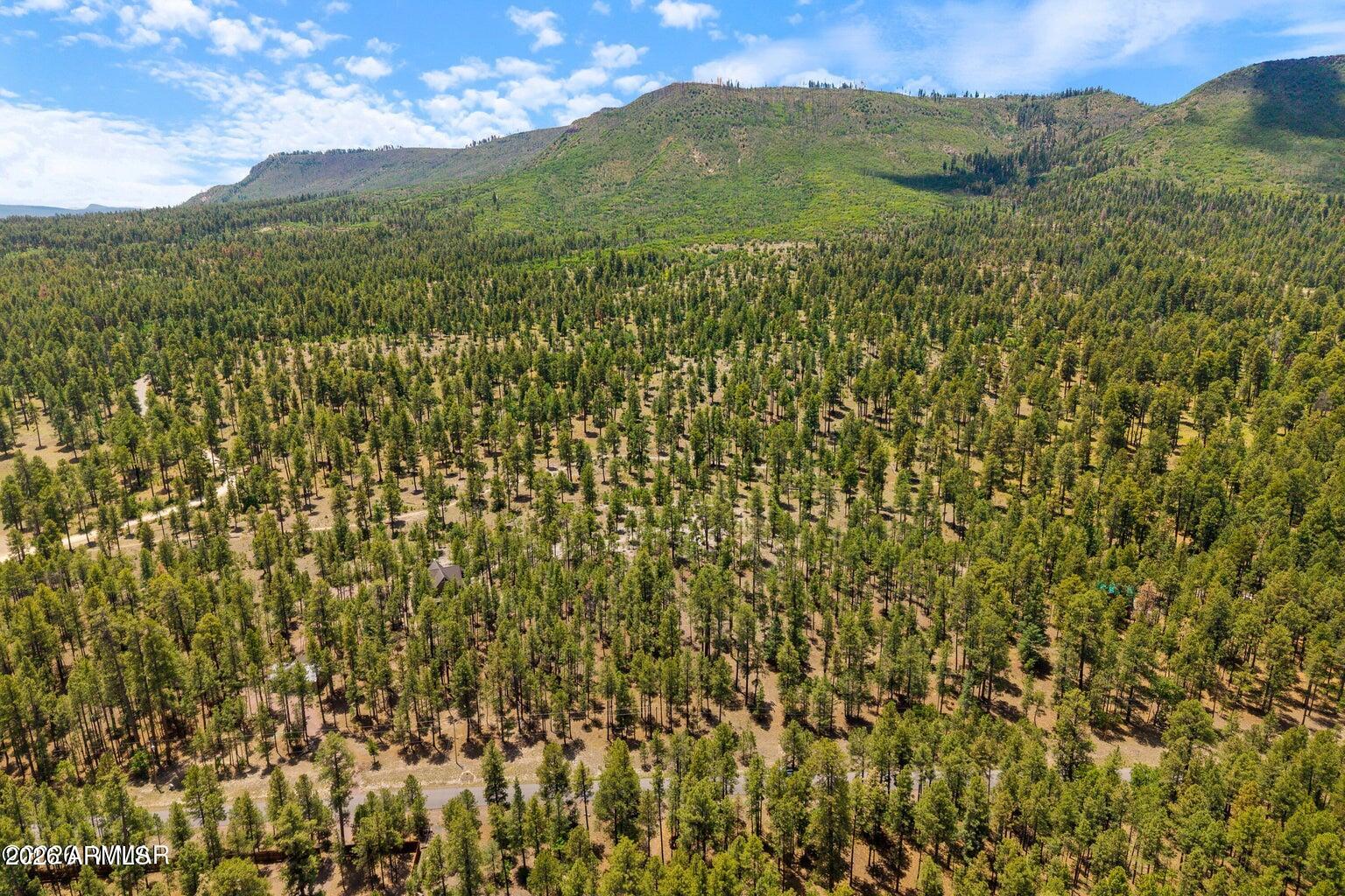 98 County Road 2266 n/a, Alpine, AZ 85920
