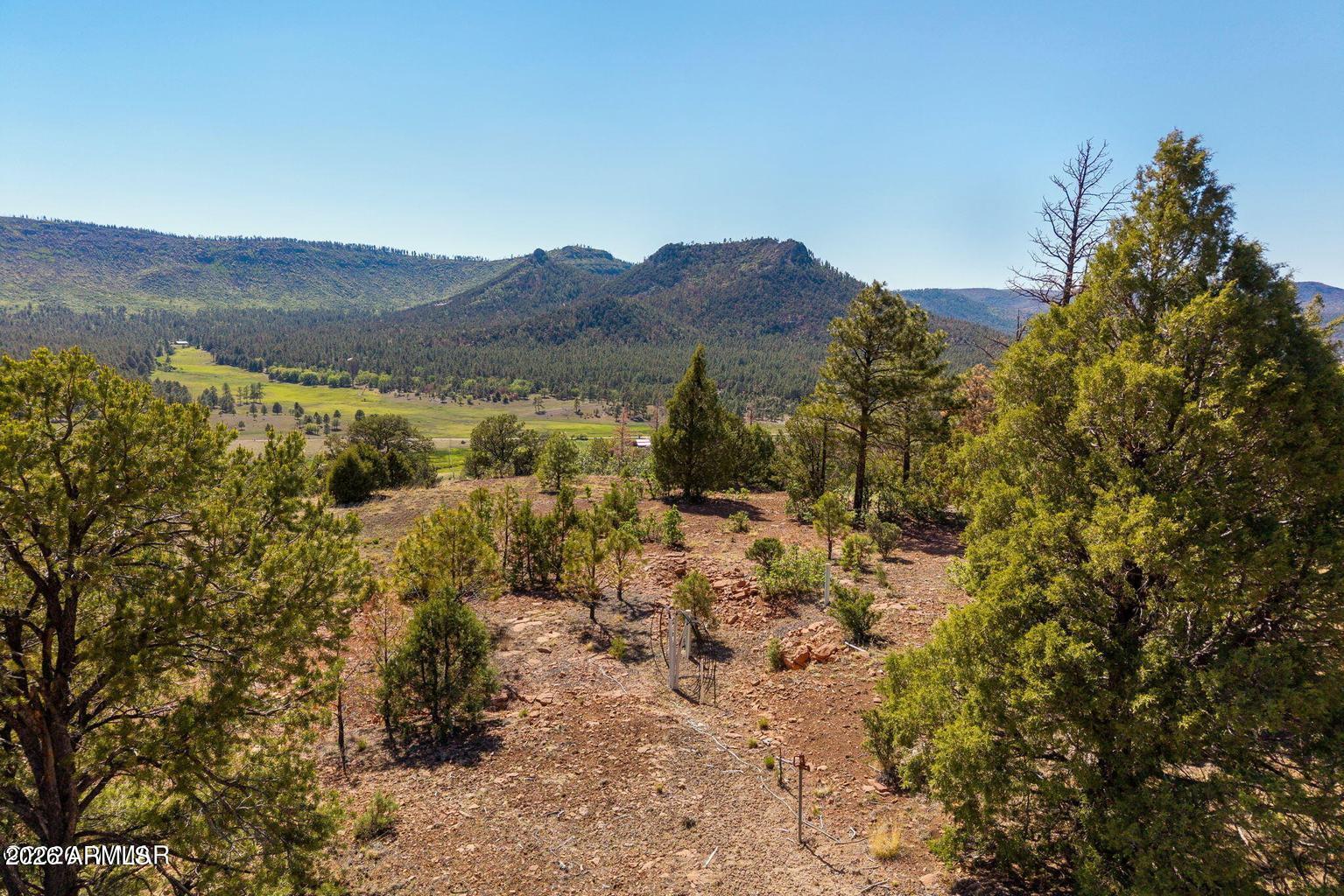 N2280 Noble Mountain Est 47, Nutrioso, AZ 85932
