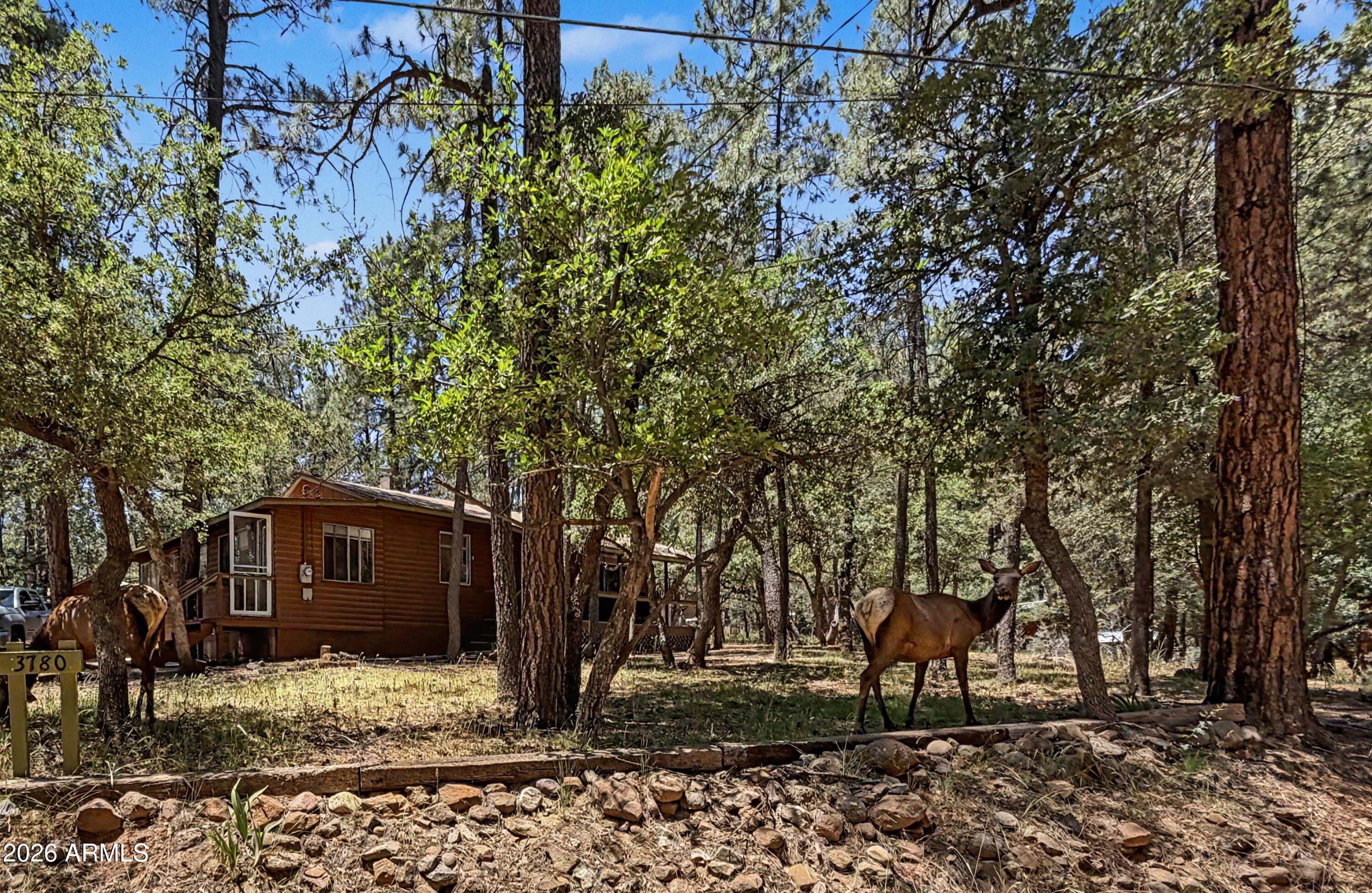 3780 N HUNT Drive, Pine, AZ 85544