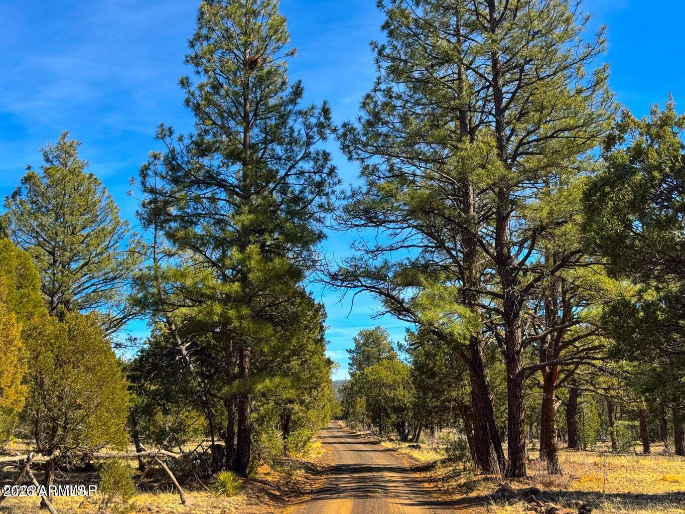 11 Co Rd 3262 5 Acres -, Vernon, AZ 85940