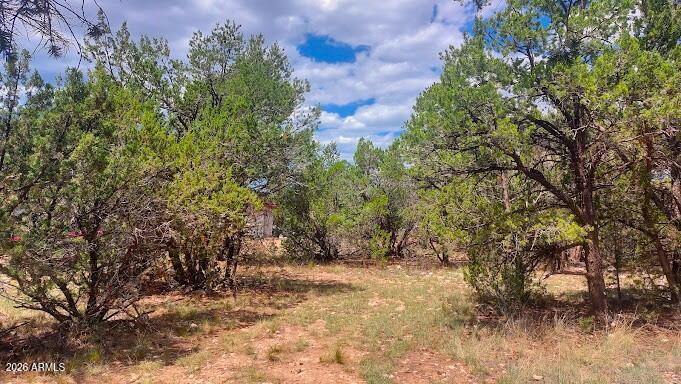 3491 EVERGREEN Drive 322, Overgaard, AZ 85933