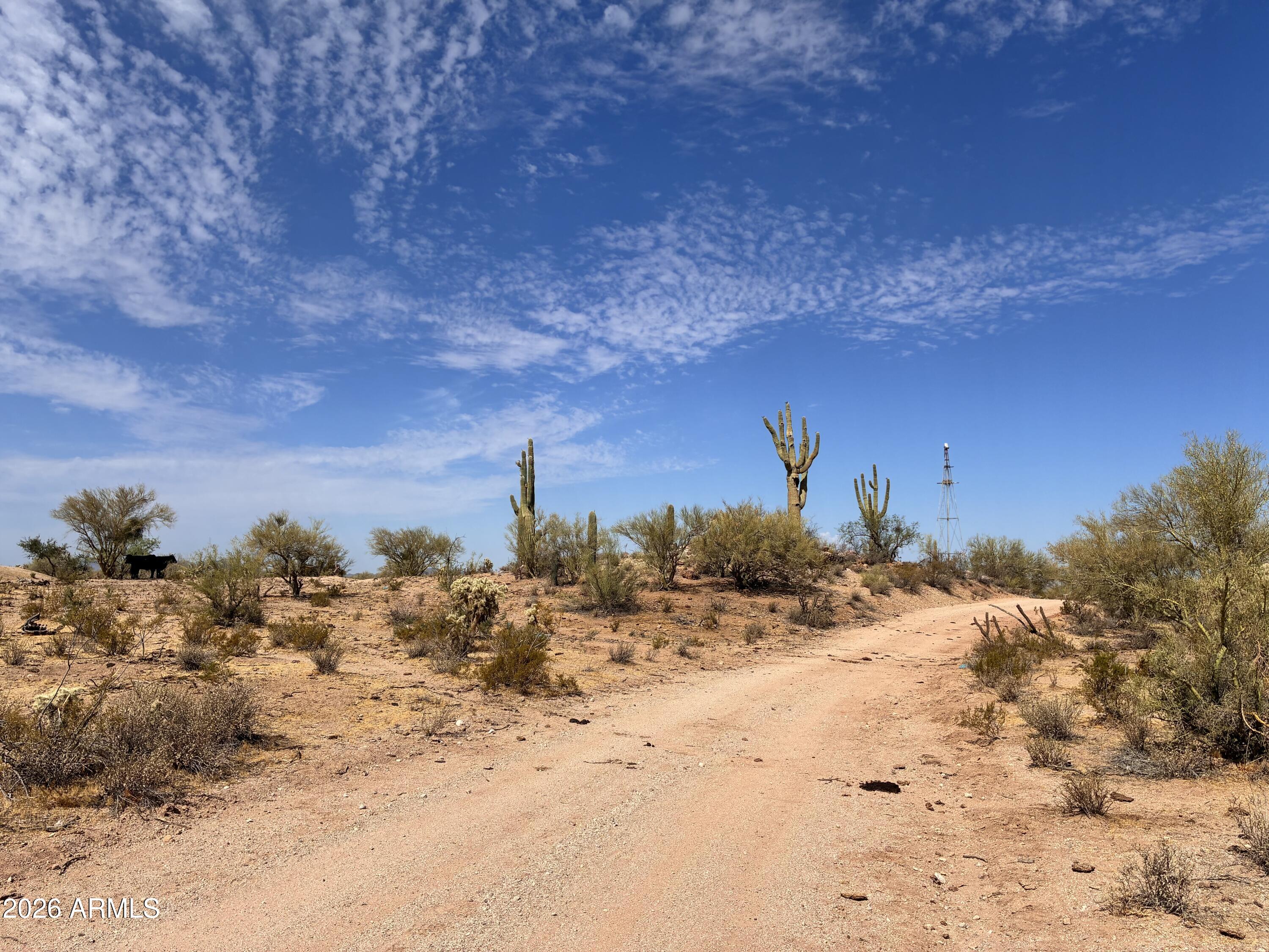 0 E Bartlett Lot 104 Road Lot 104, Florence, AZ 85132