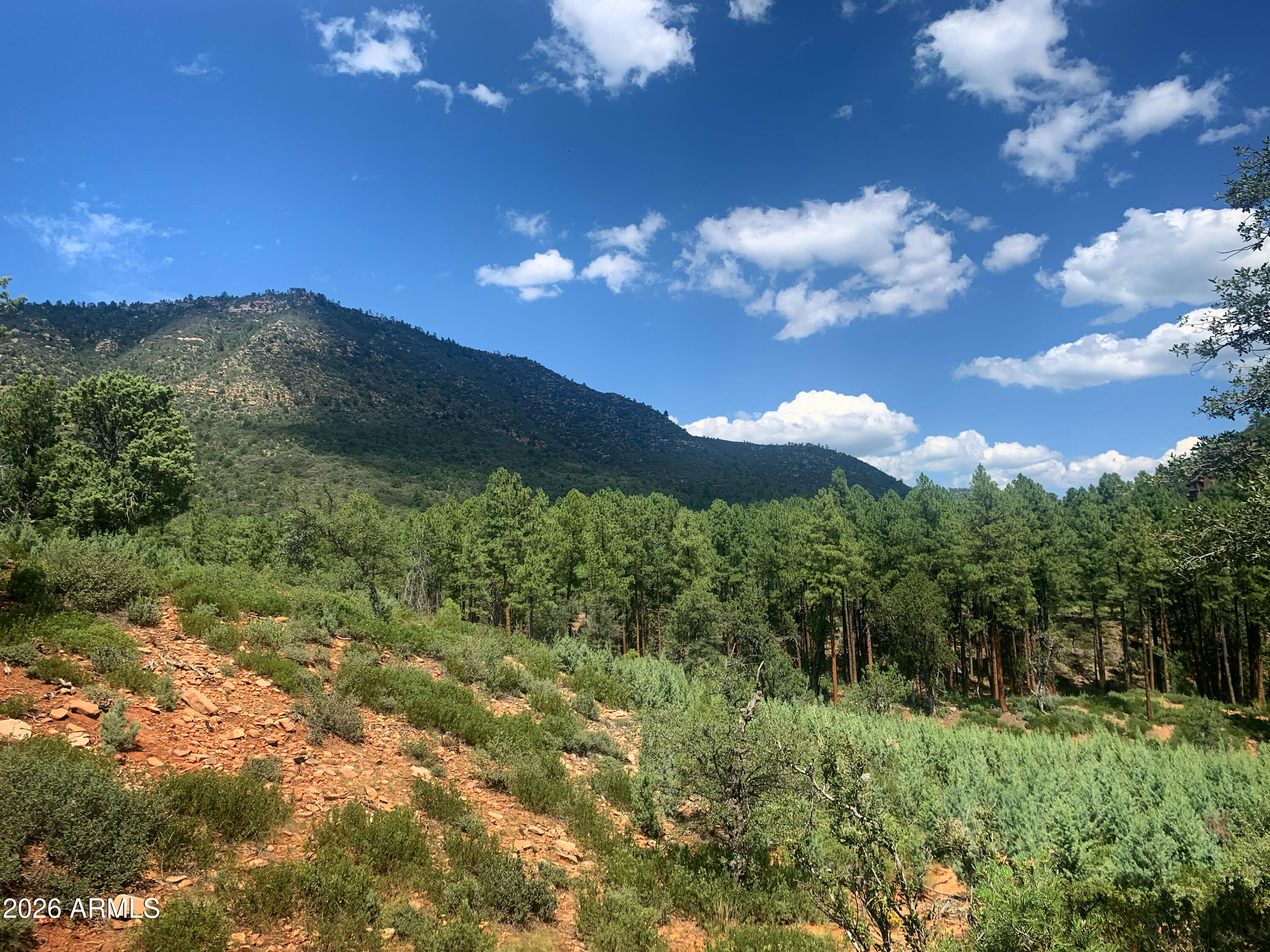 Lot 49 W Ruin Hill Loop Loop 49, Pine, AZ 85544