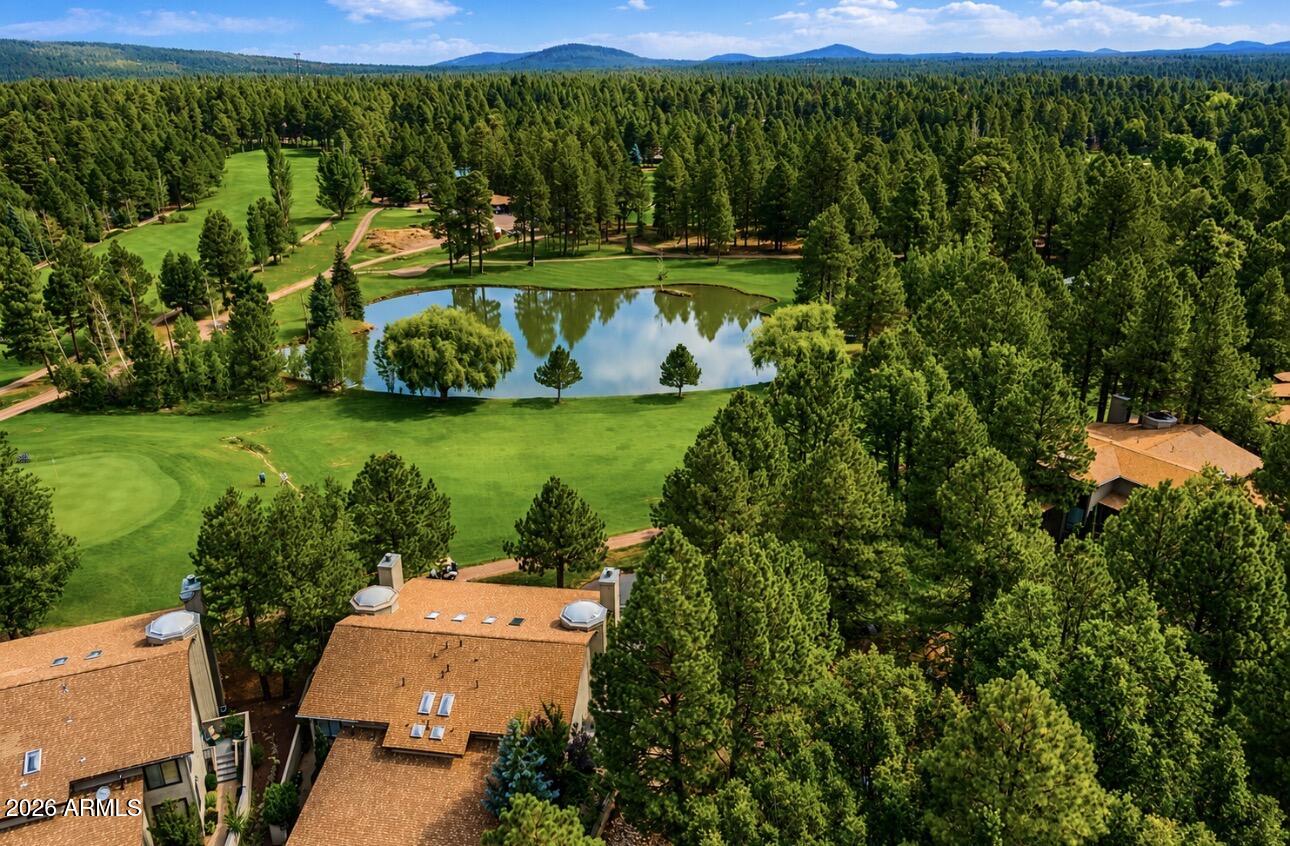 4508 Crown Dancer Drive 72, Pinetop, AZ 85935
