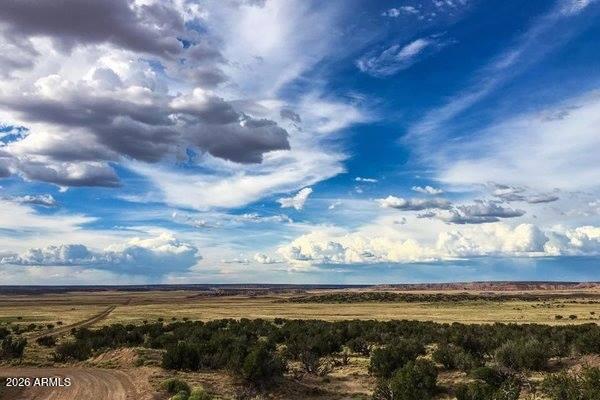 000 N6315 115, St Johns, AZ 85936