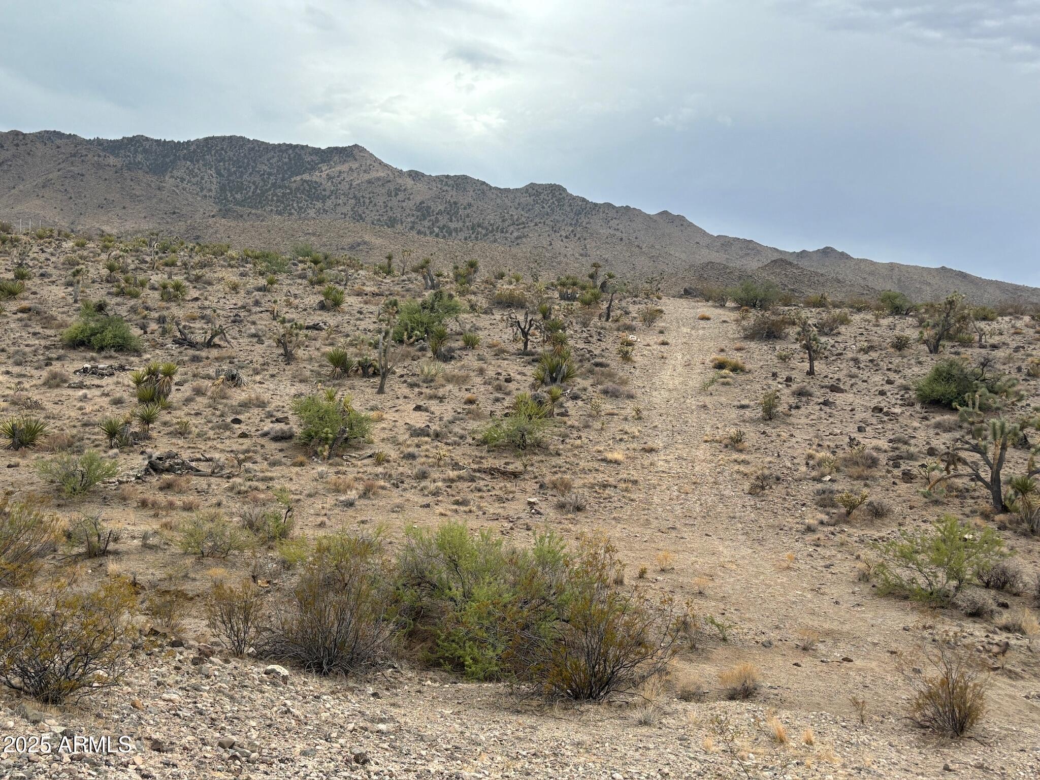 000 N Mohave Drive 48, Dolan Springs, AZ 86441