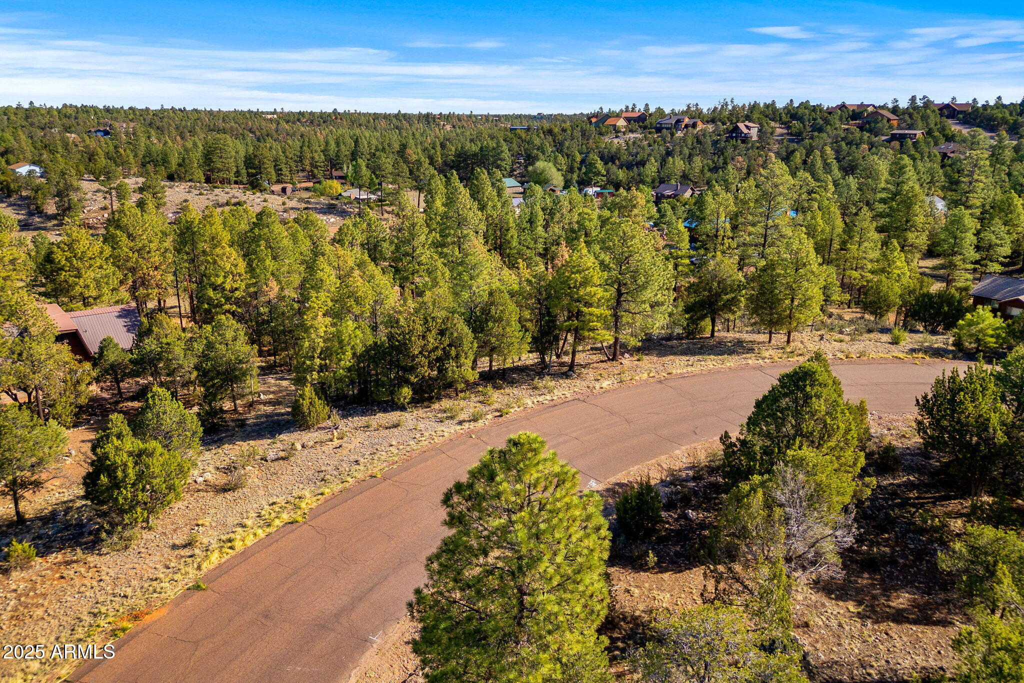 2794 SKYHAWK Drive 140, Overgaard, AZ 85933