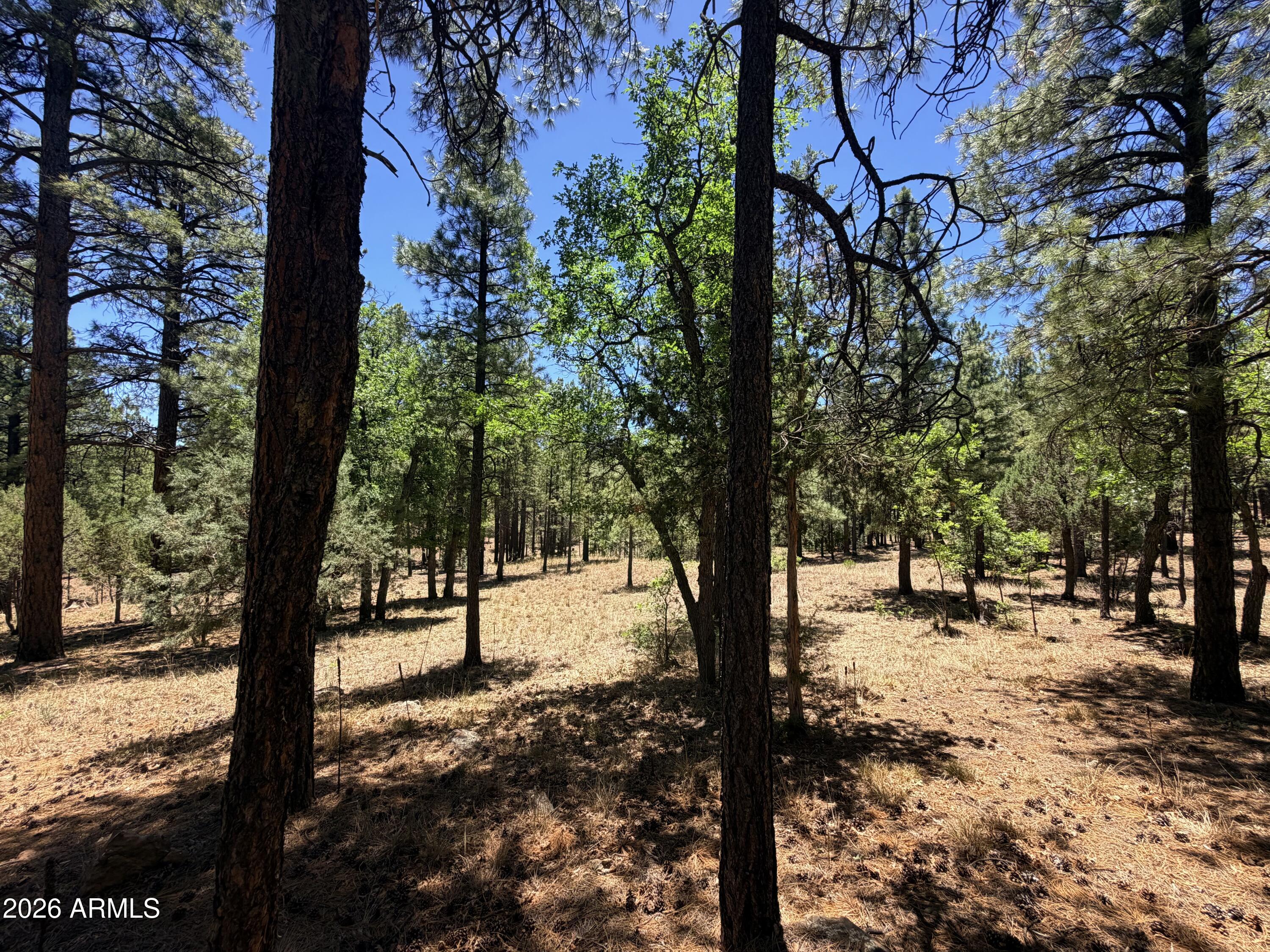 4215 APACHE Drive 428, Happy Jack, AZ 86024