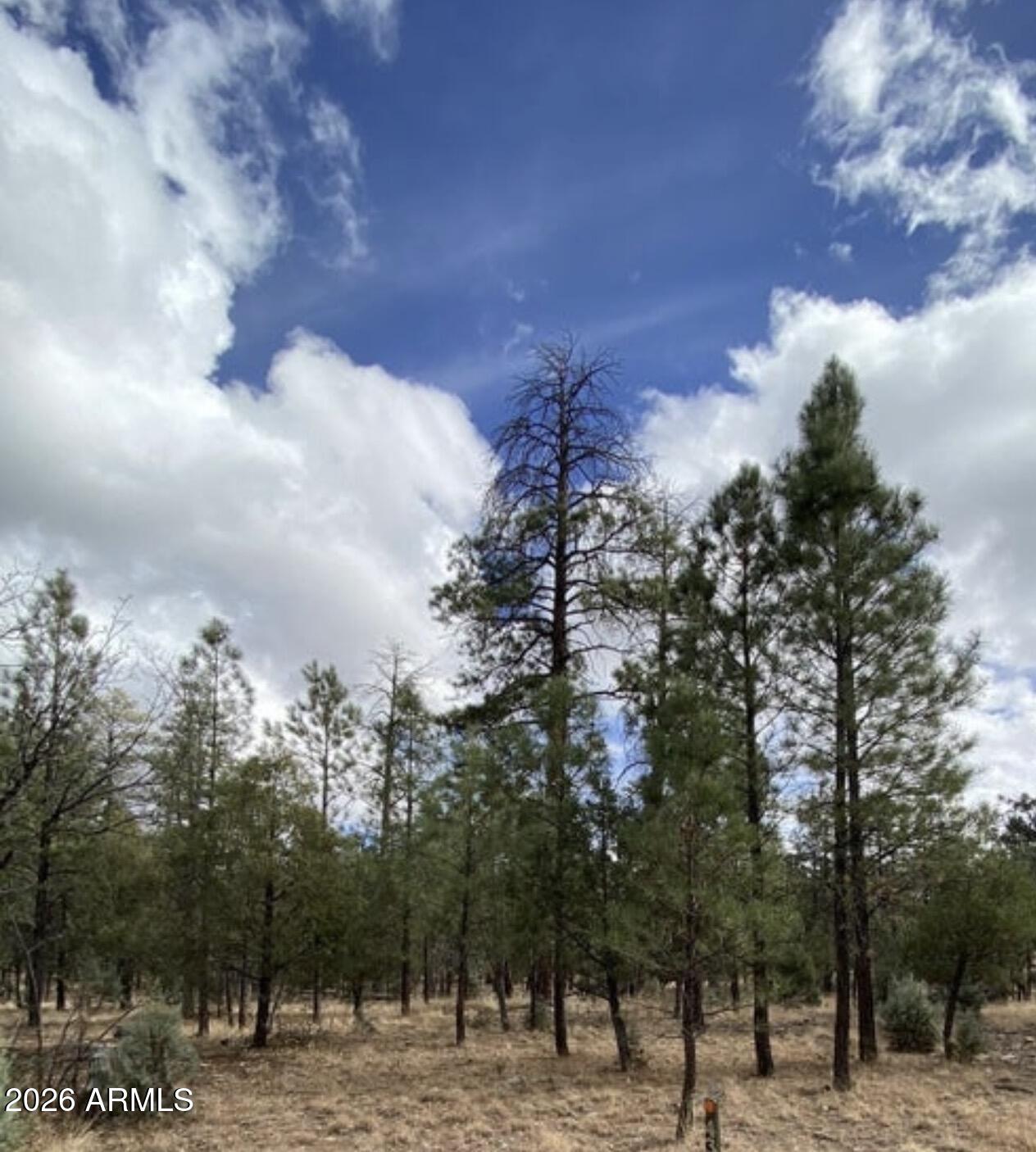 4395 JACK PINE Place 146, Happy Jack, AZ 86024