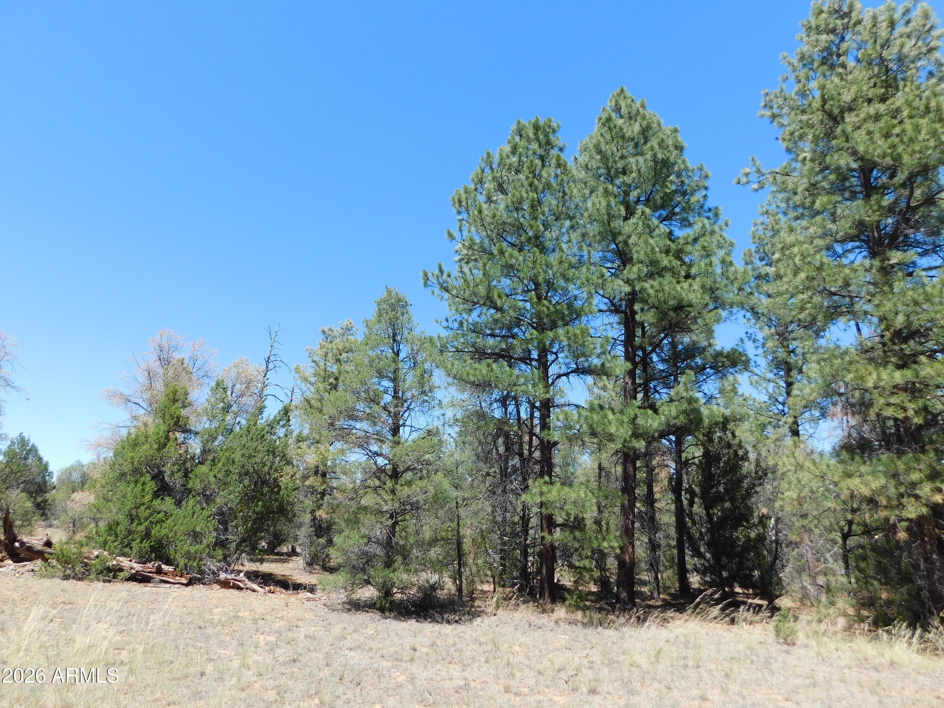 3100 PINEWOOD Drive 083B, Overgaard, AZ 85933