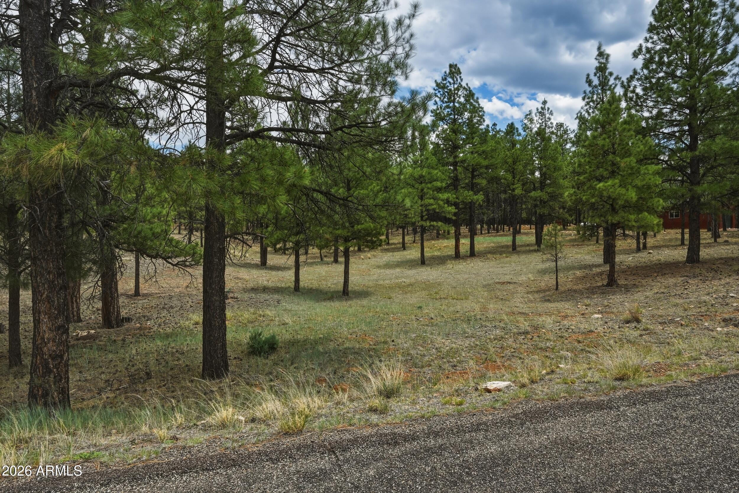 2799 CHEROKEE Way 381, Happy Jack, AZ 86024