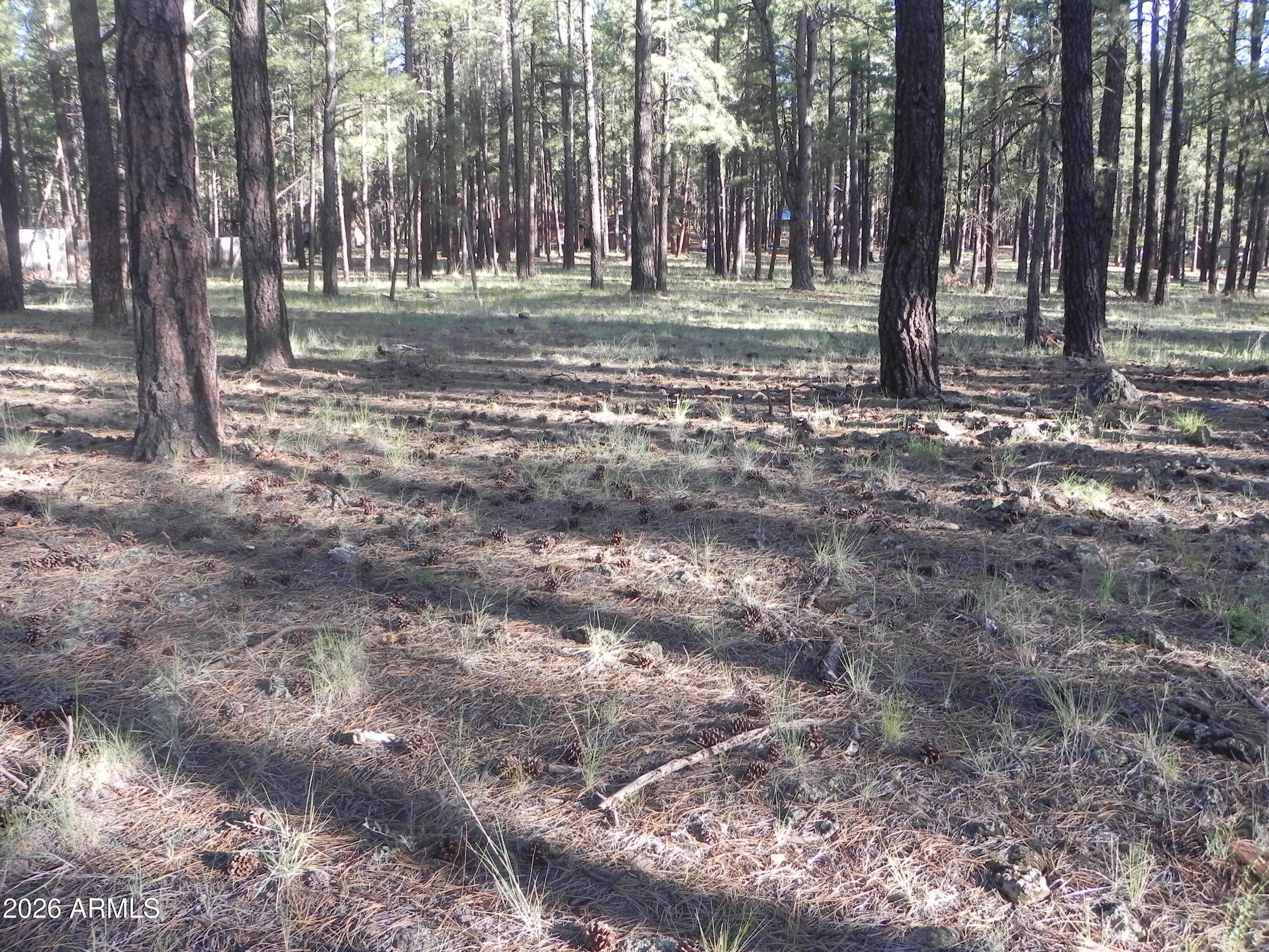 7606 E JOLLY ROGUE Lane 162, Williams, AZ 86046