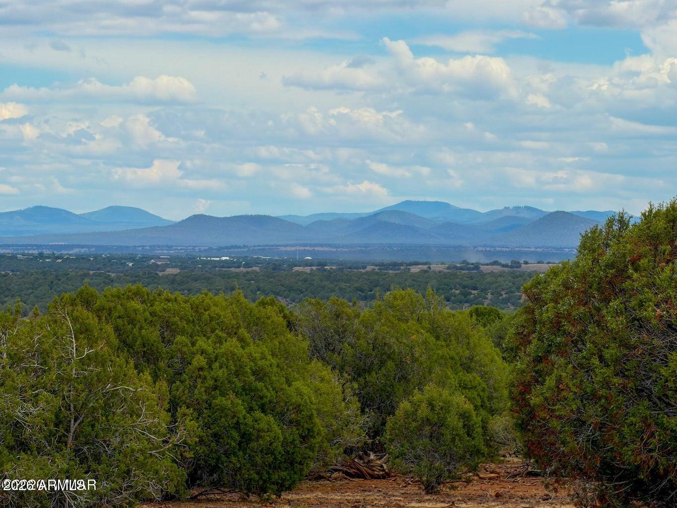 8087 Mustang Lane -, Show Low, AZ 85901