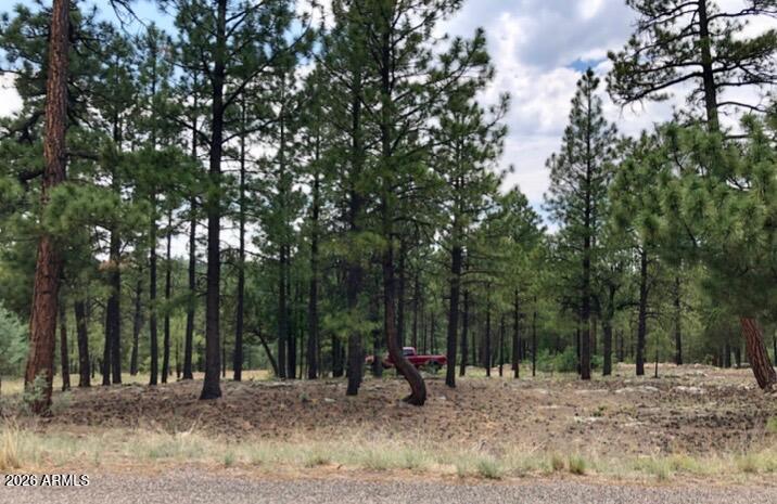 2526 WELL WATER Road 322, Happy Jack, AZ 86024