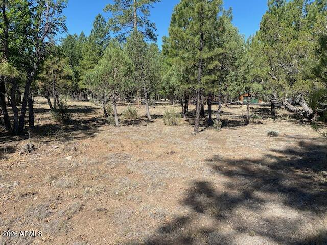 4214 JUNIPER Drive 46, Happy Jack, AZ 86024