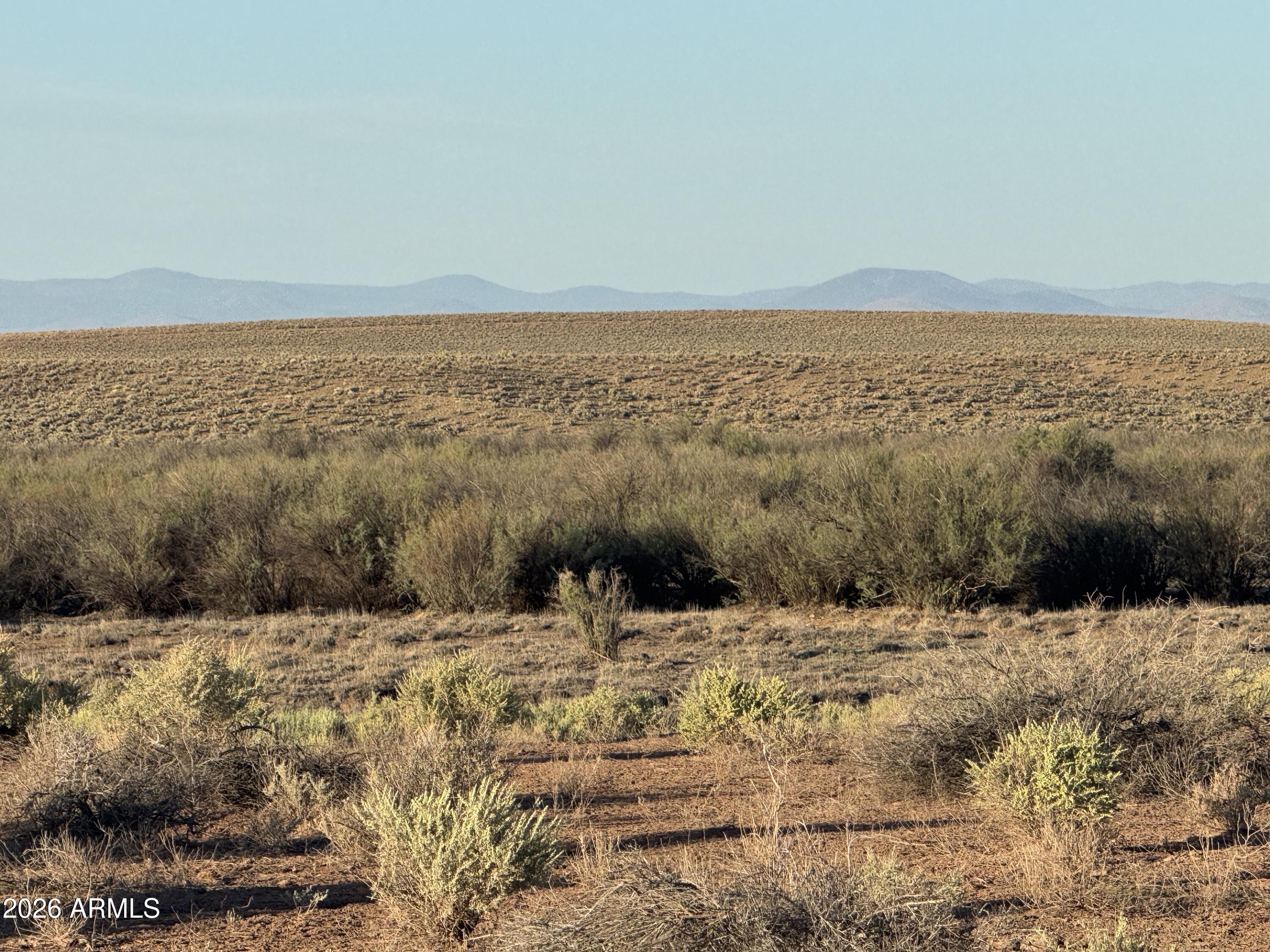 Lot 445 Carrizo Ranch 445, St Johns, AZ 85936