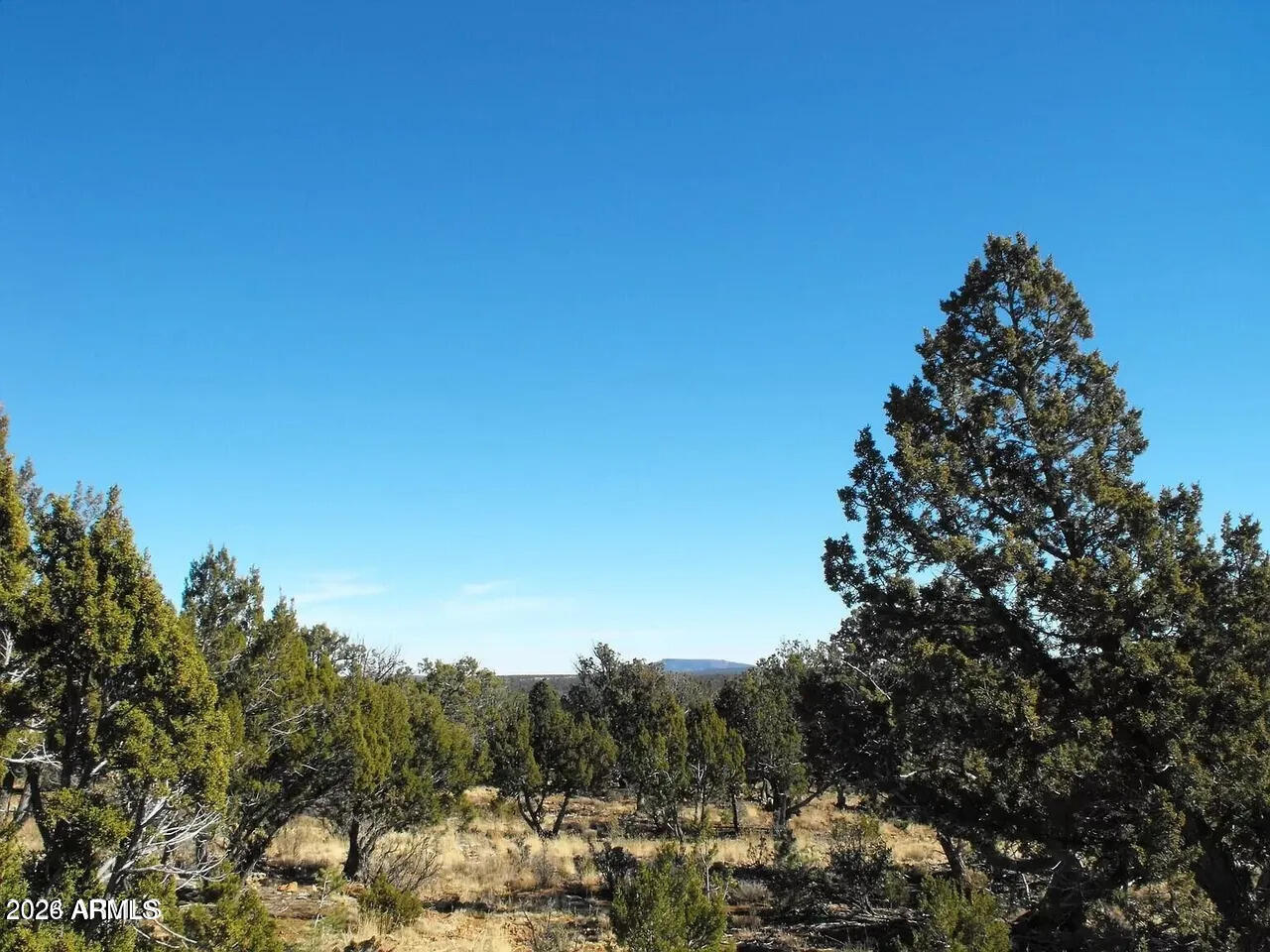 4131 SUNSET RIDGE Loop -, Happy Jack, AZ 86024