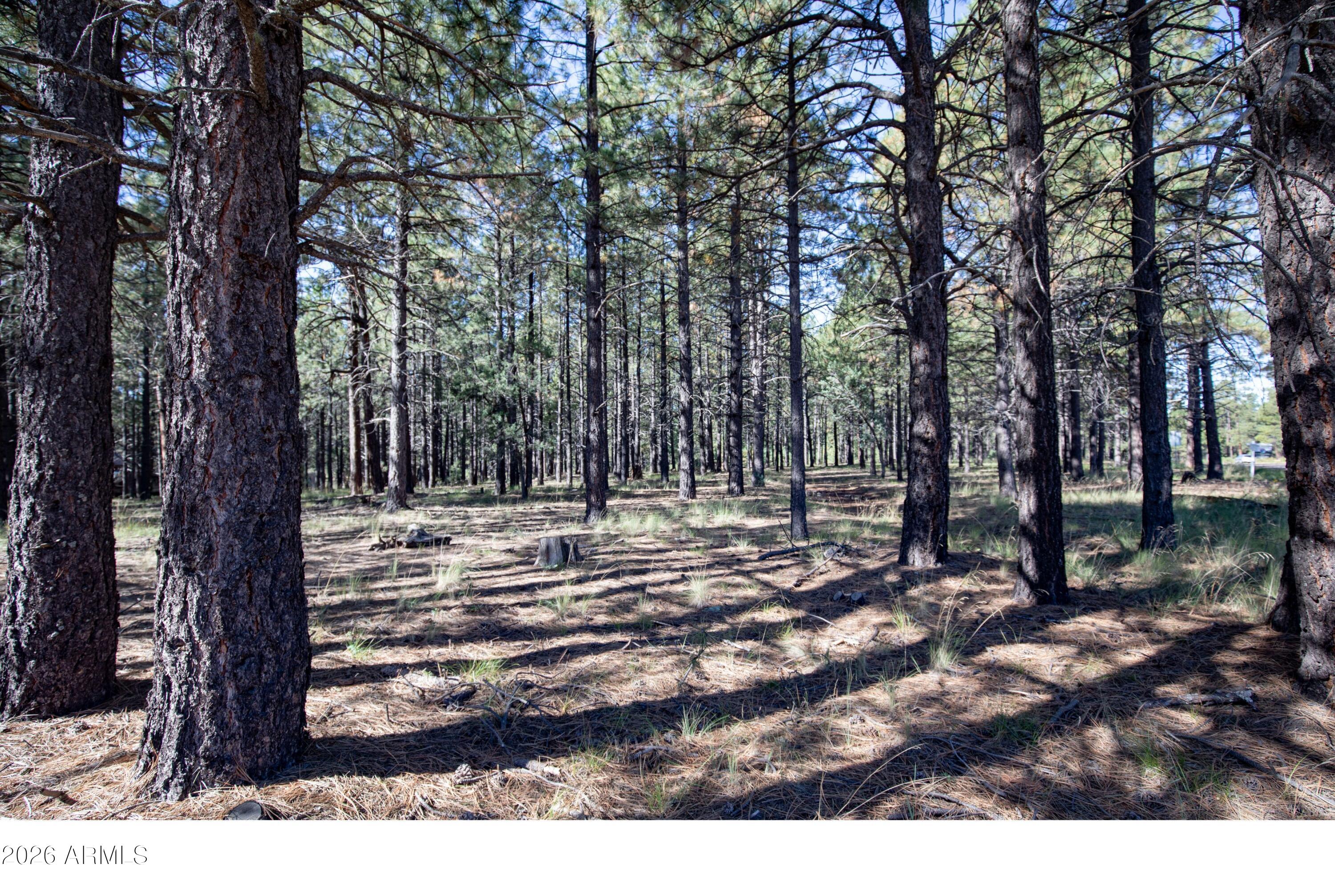 1924 QUILT COUNTRY Drive 781, Forest Lakes, AZ 85931