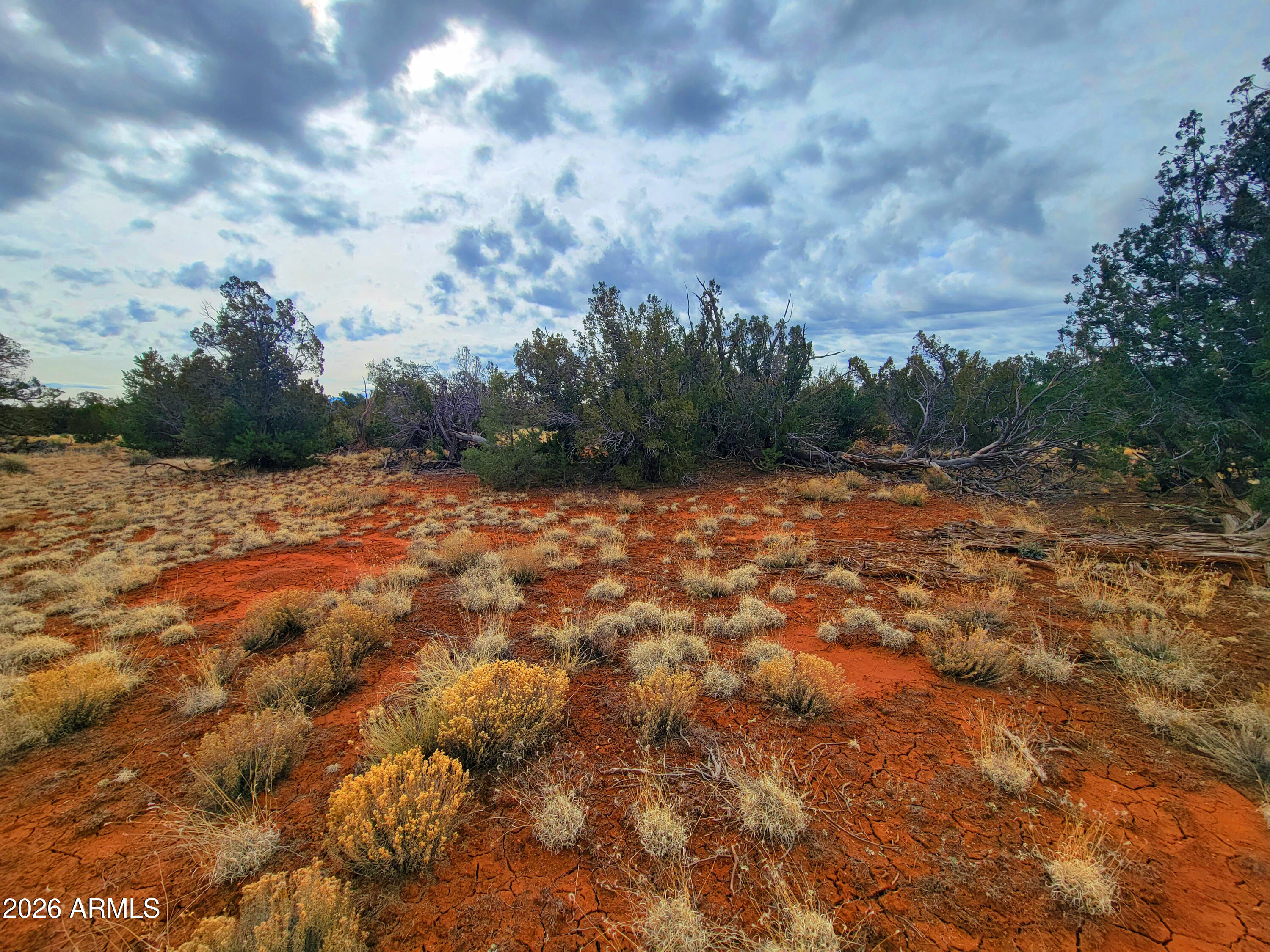 694 S LODESTAR Drive 353, Williams, AZ 86046
