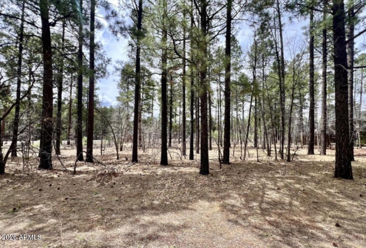 4024 LATIGO Way -, Pinetop-Lakeside, AZ 85929