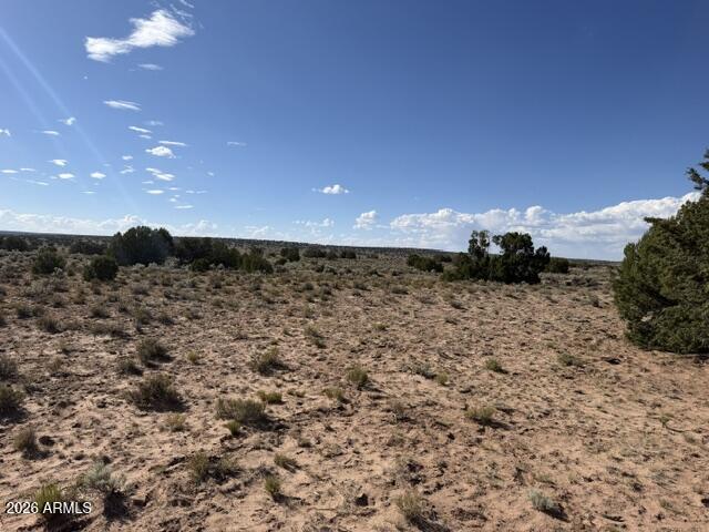 TBD County Rd N7207 -, St Johns, AZ 85936