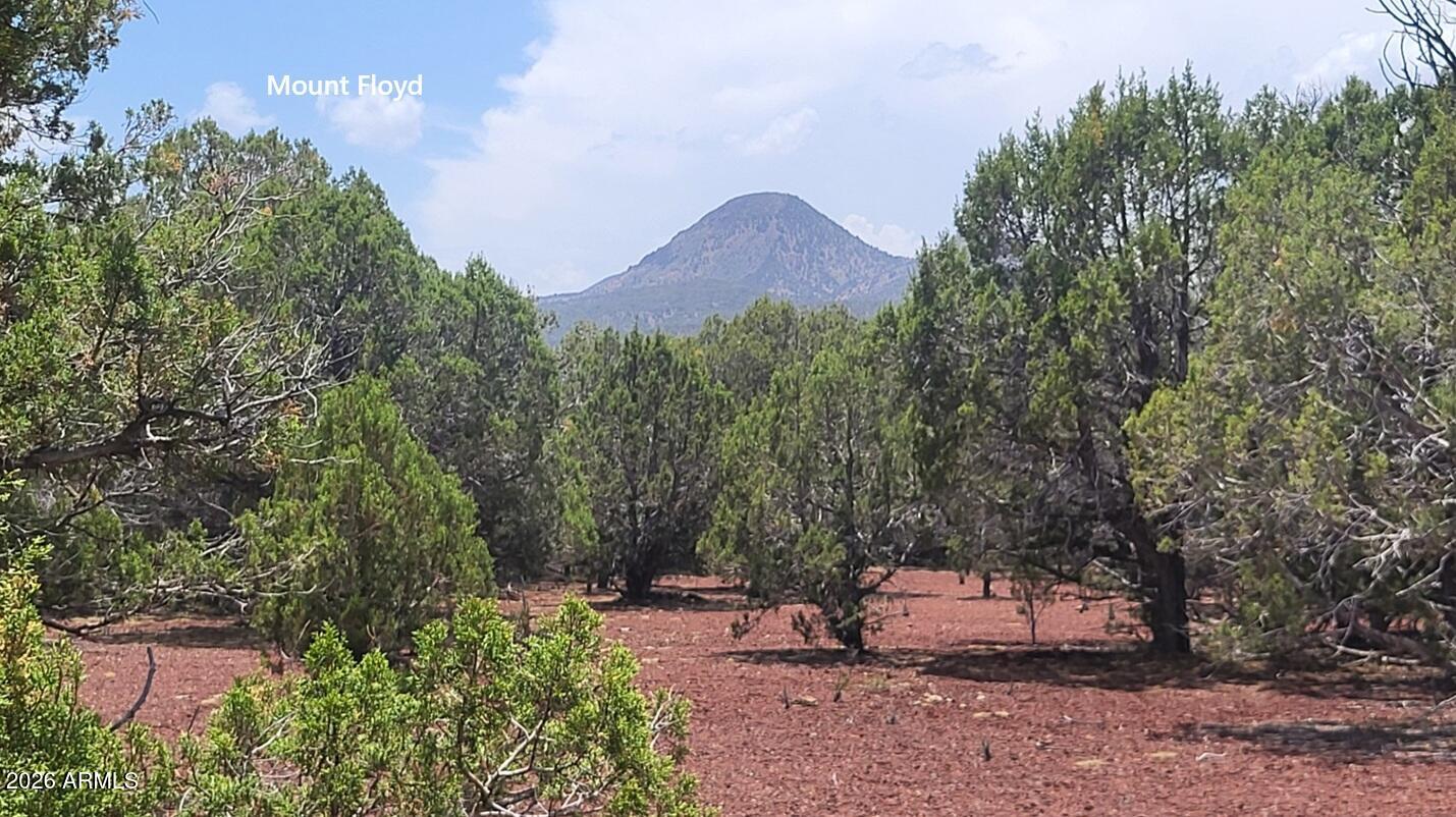 67 Ranch Road 67, Williams, AZ 86046