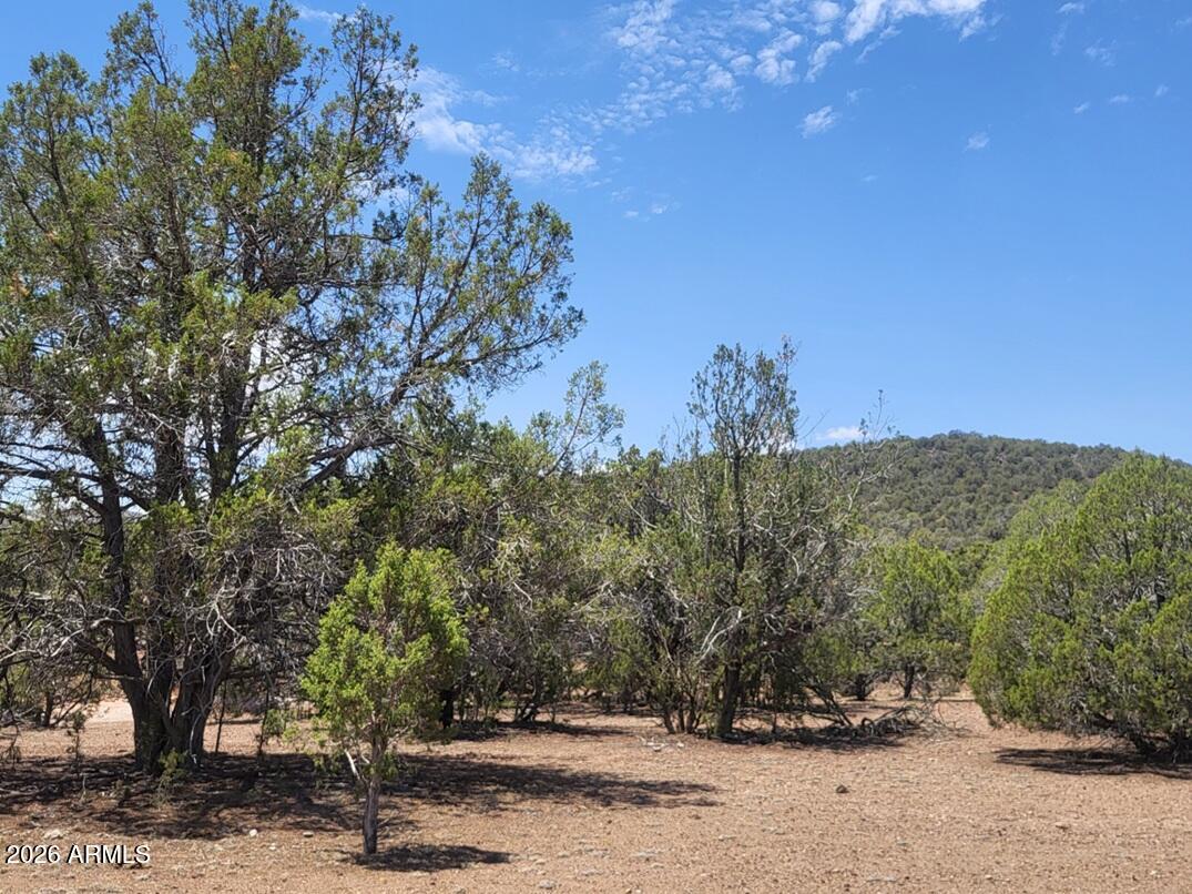 160B Cattle Drive 160, Williams, AZ 86046
