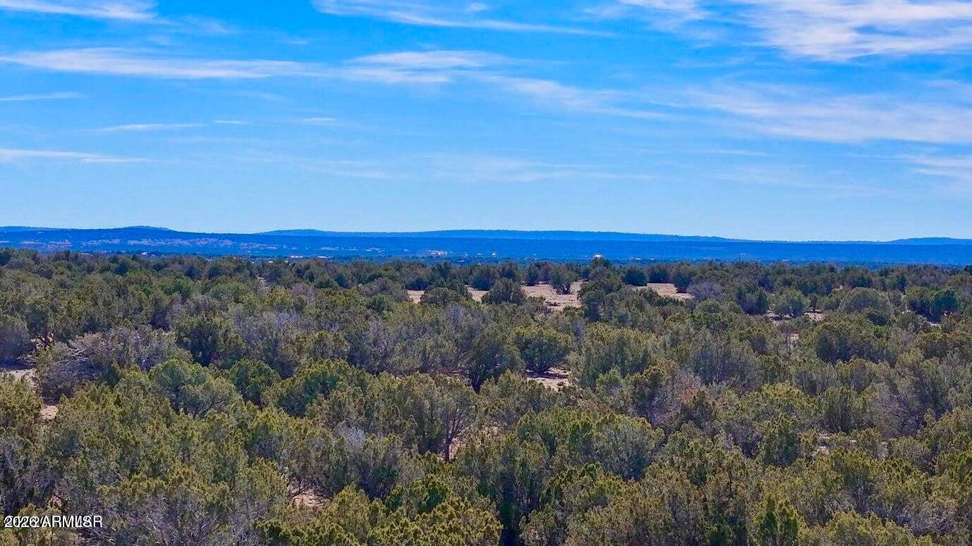 9023 Appaloosa Trail Lots C & E -, Show Low, AZ 85901
