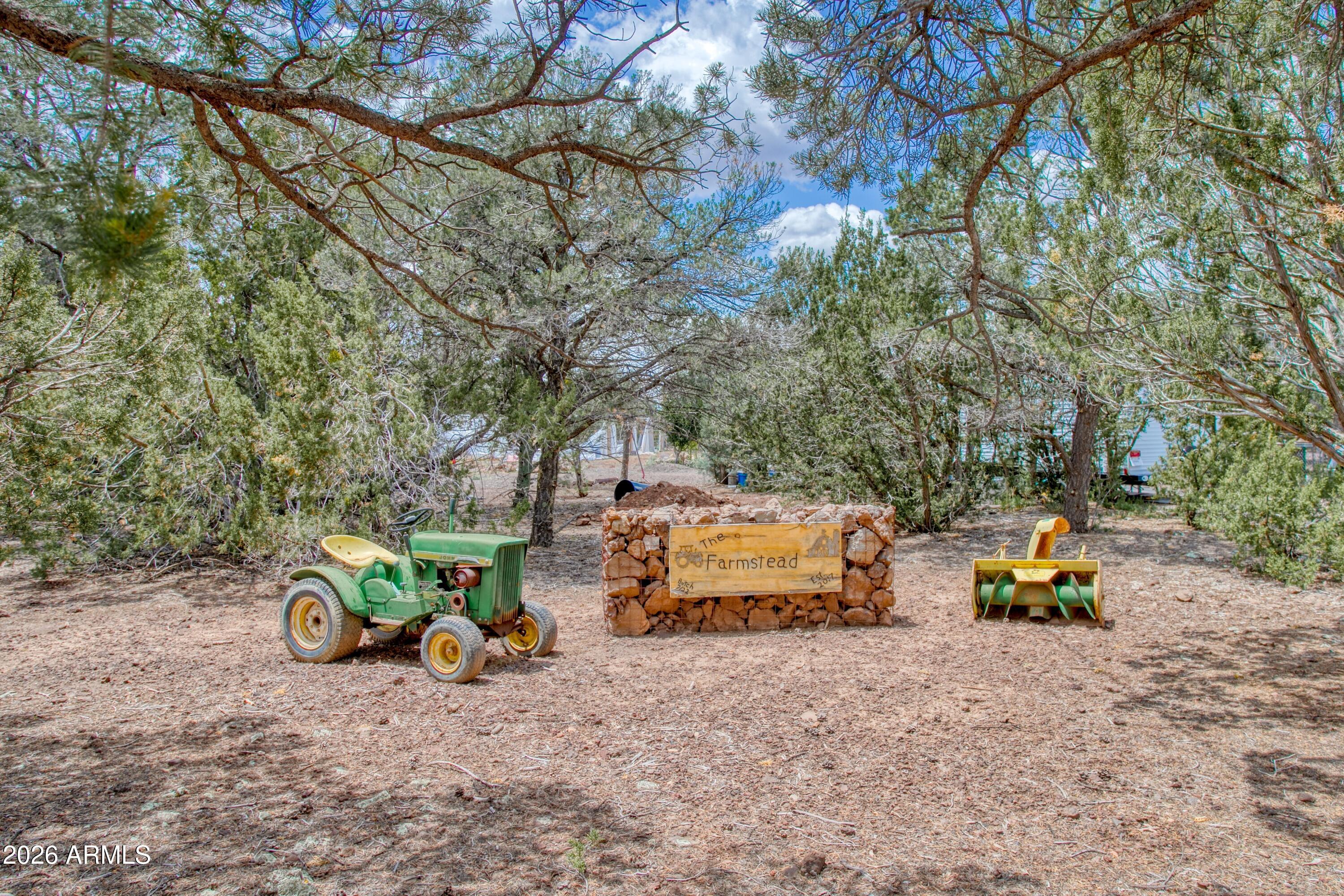 21 N3095 2, Show Low, AZ 85901