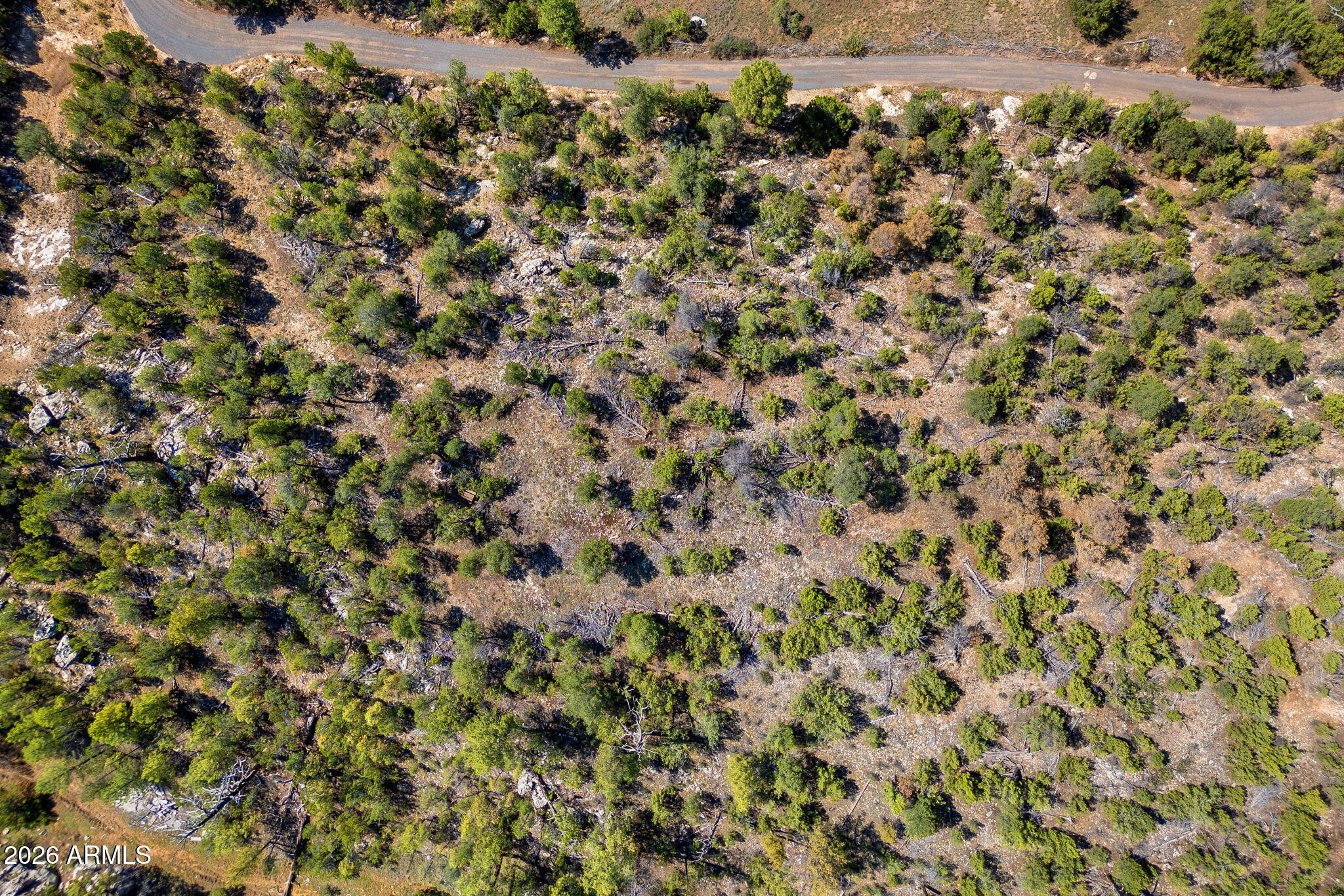 1794 CANYON Drive -, Heber, AZ 85928
