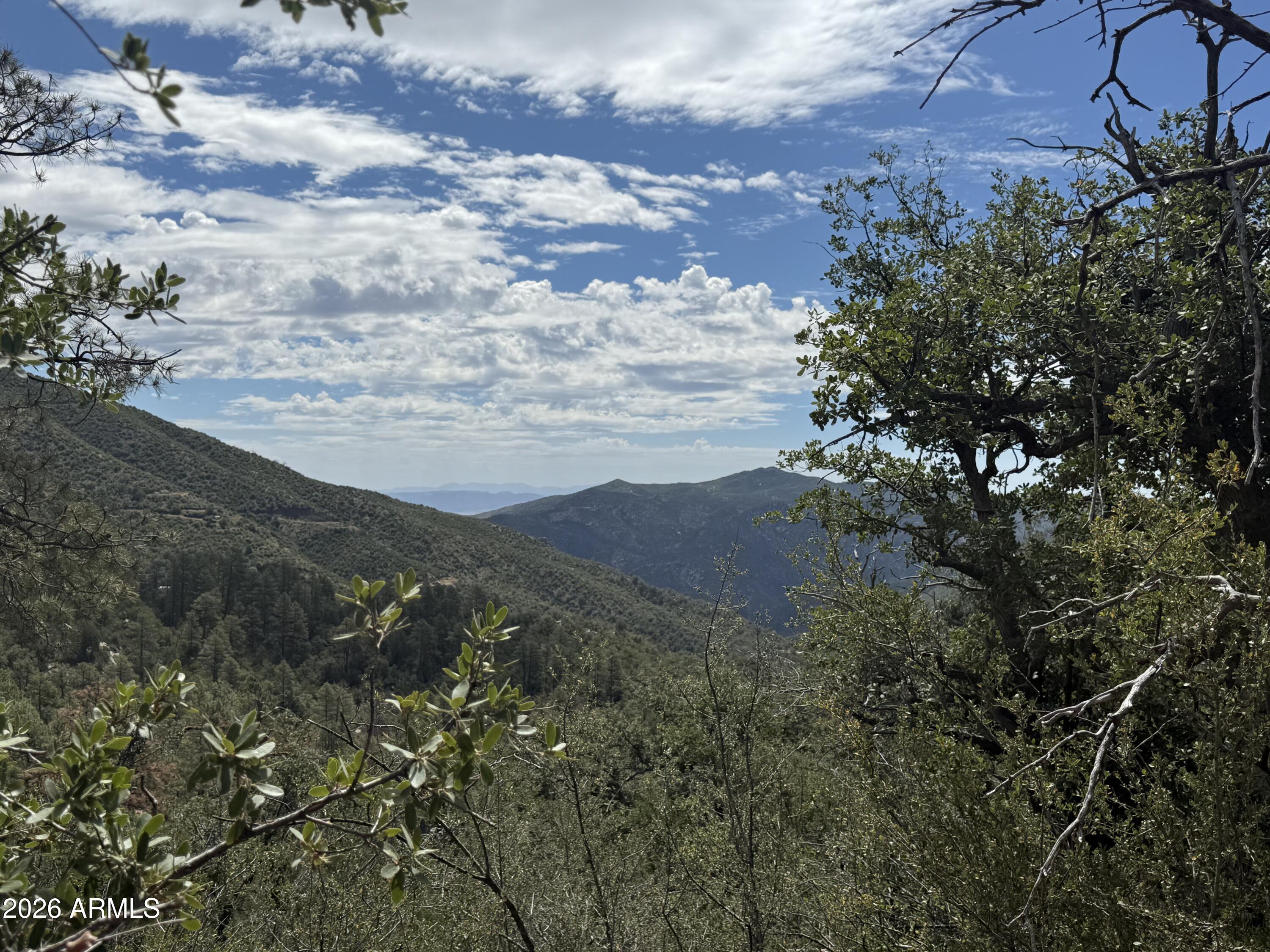 00 E Laurita Road -, Crown King, AZ 86343