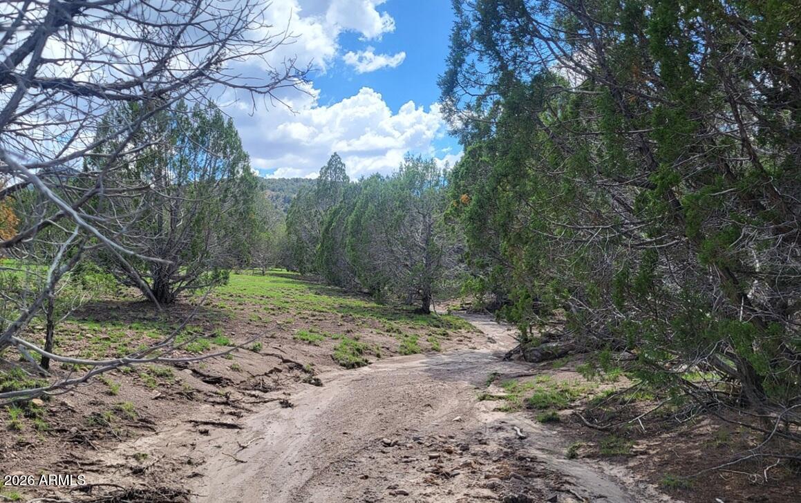 111 N Ranch Road 111, Williams, AZ 86046