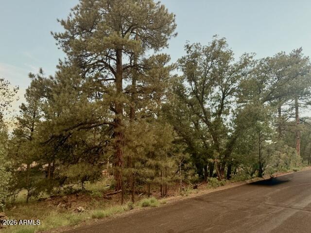 645 E TROUT CREEK Road 41, Munds Park, AZ 86017