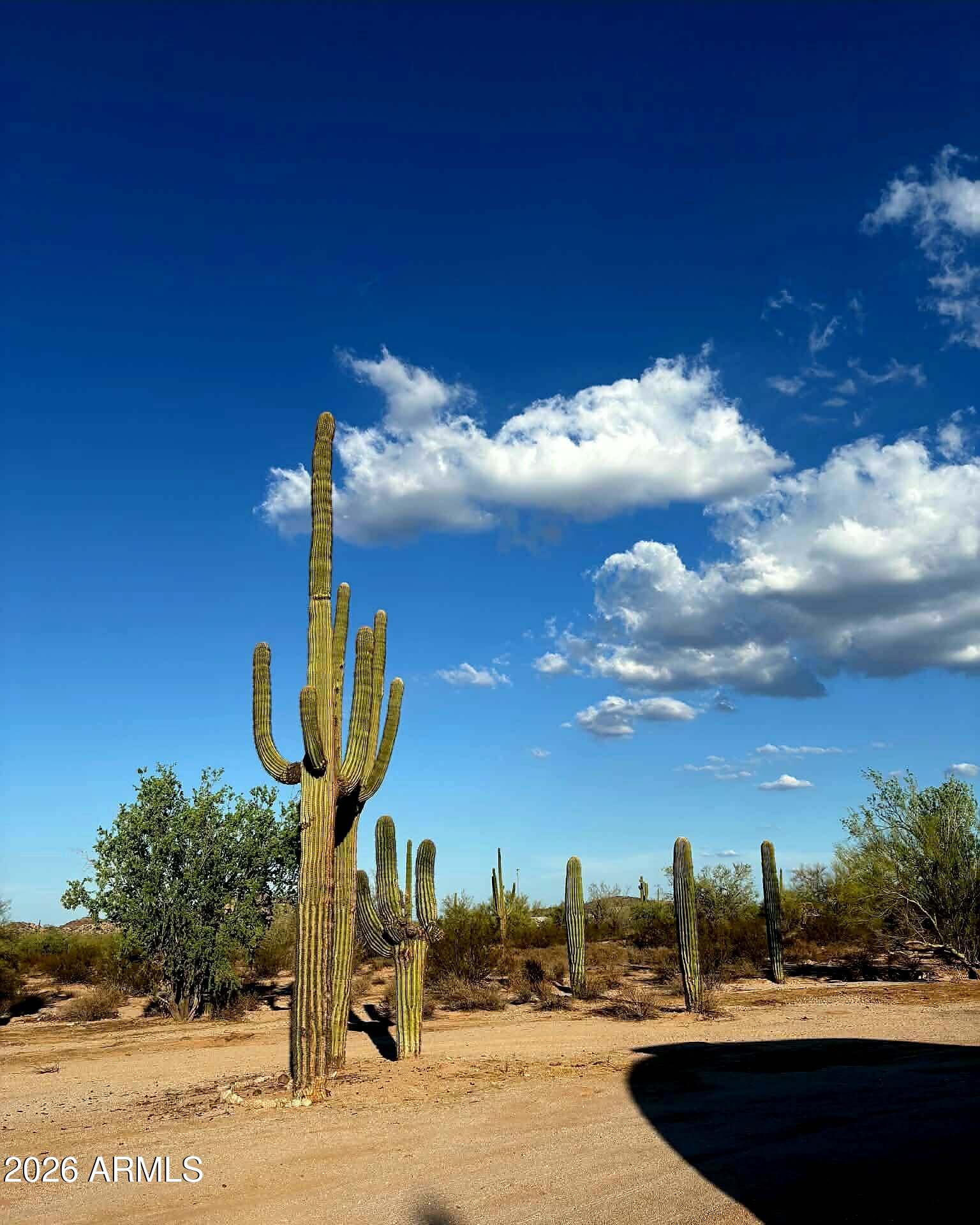 1523 S WARREN Road 81, Maricopa, AZ 85139