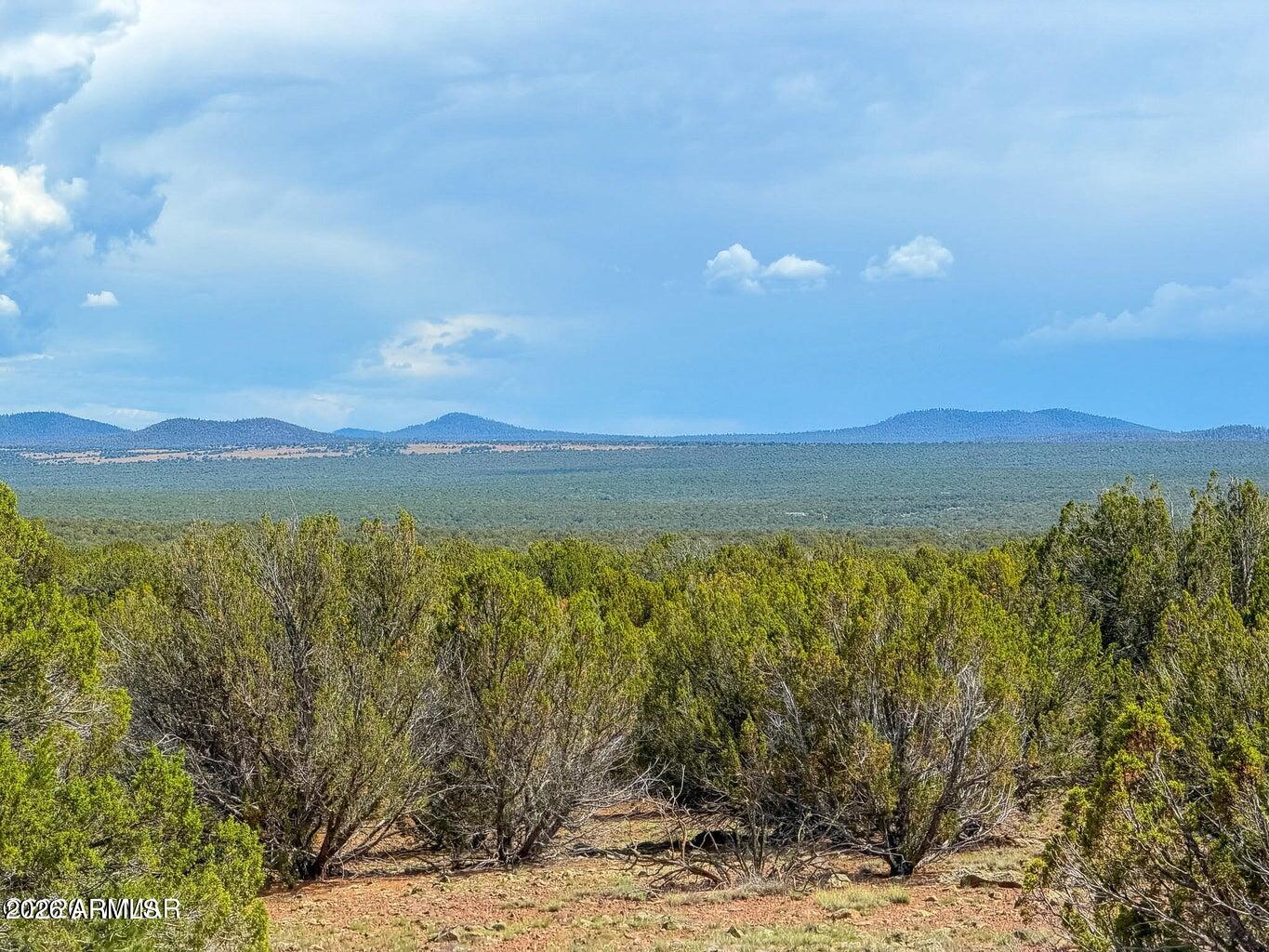 0 Gample Ln 13 Acres (Lot A) -, Show Low, AZ 85901