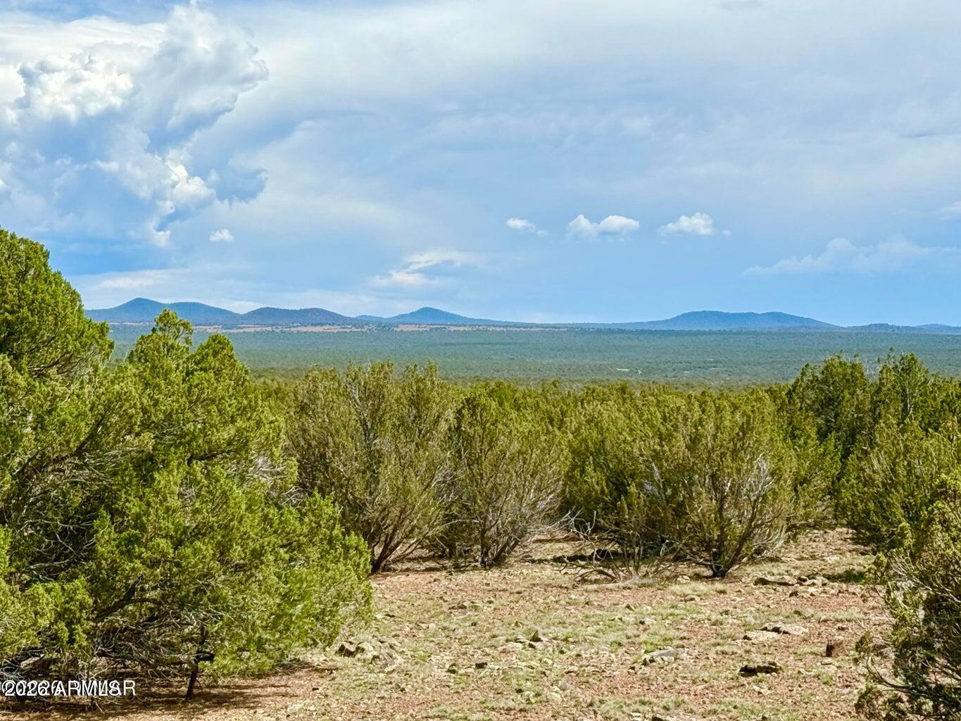 0 Gample Ln 13 Acres (Lot B) -, Show Low, AZ 85901